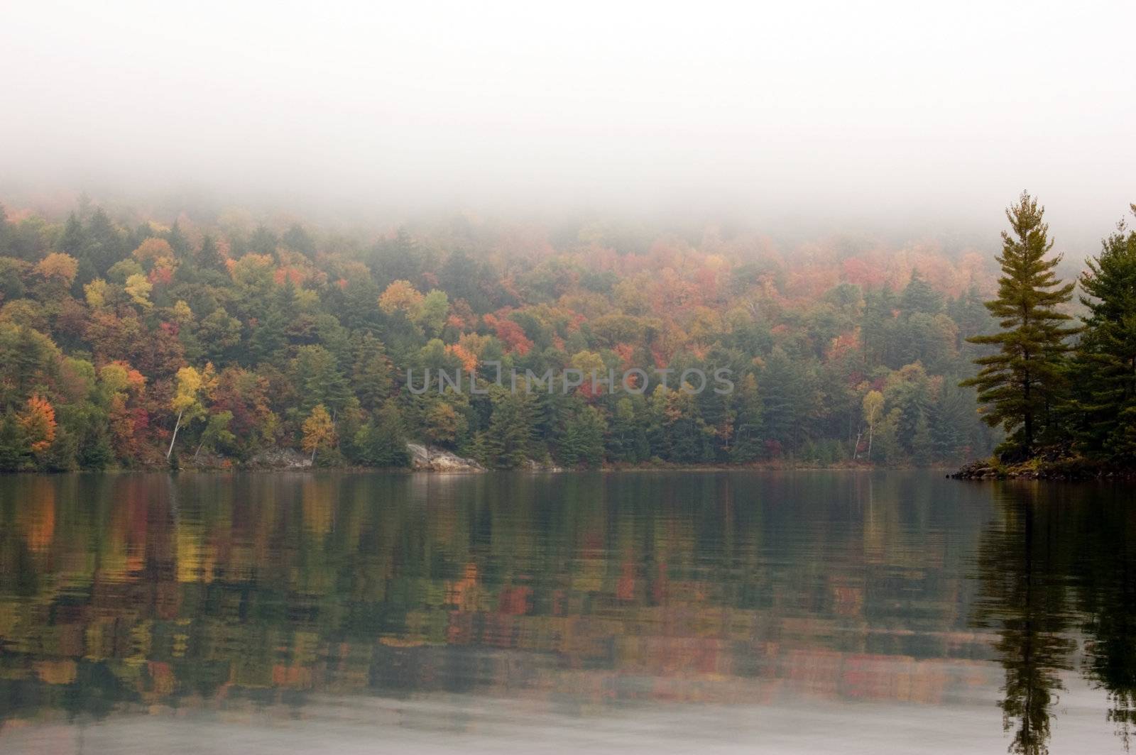 Shore of George Lake in overcast day. Killarney Prov. Park