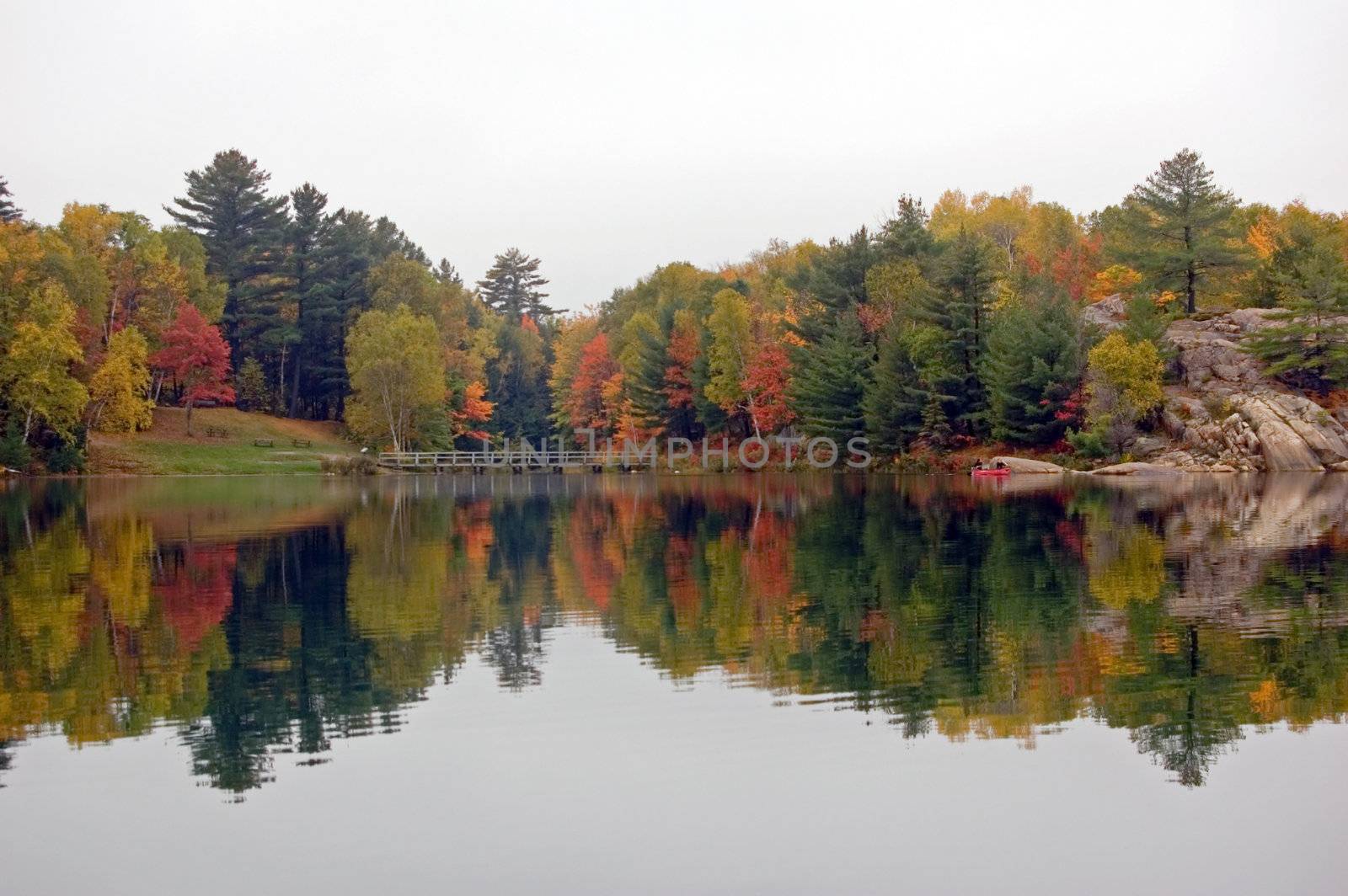 Reflection of colorful forest in lake surface in the overcast day