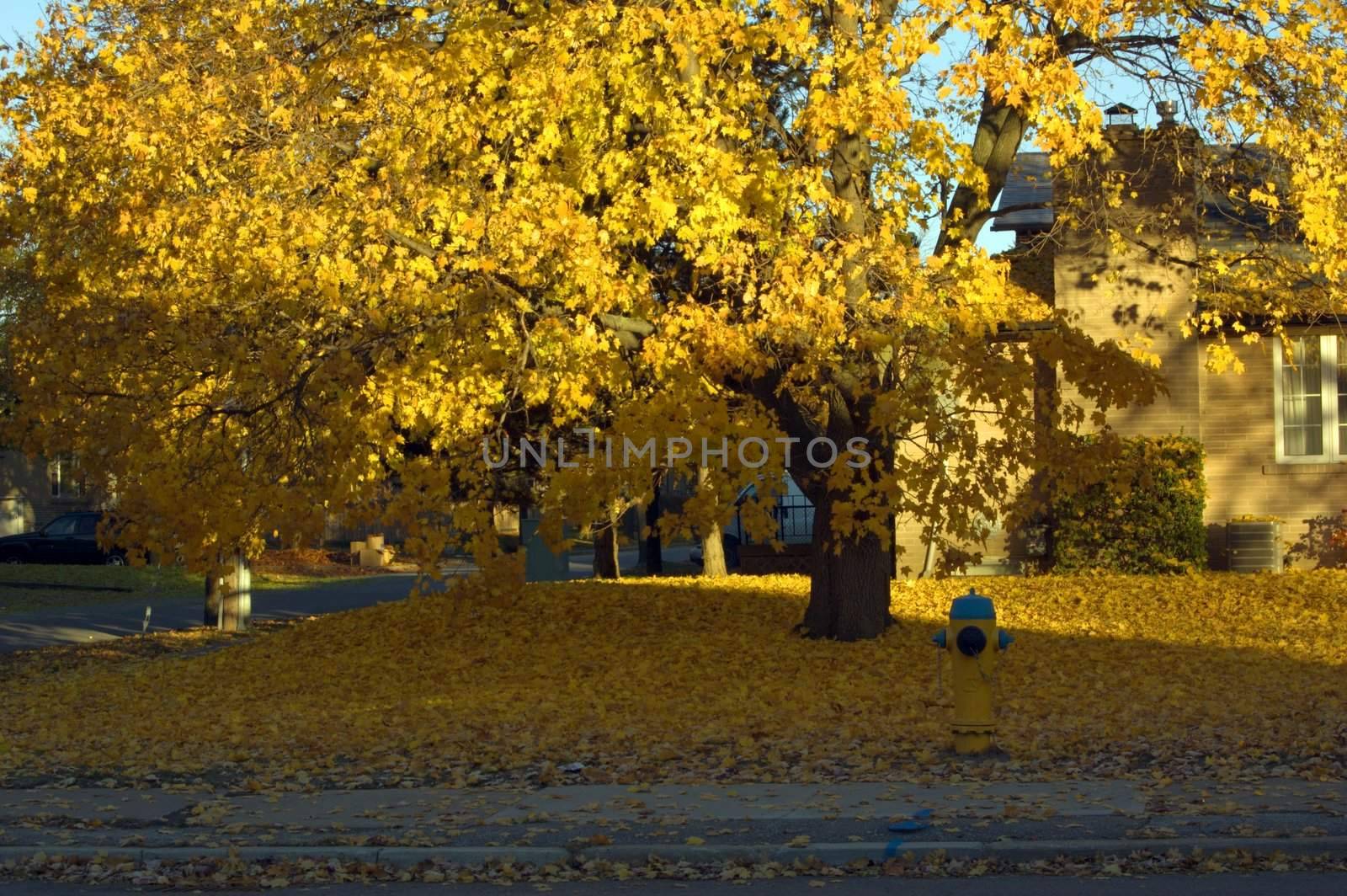 City landscape in sunrise light