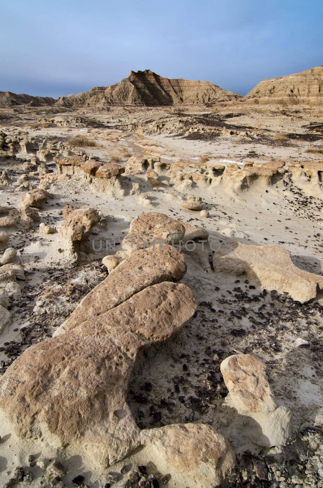 Barren landscape of flood channels and pinnacles, Badlands National Park, South Dakota, USA by CharlesBolin