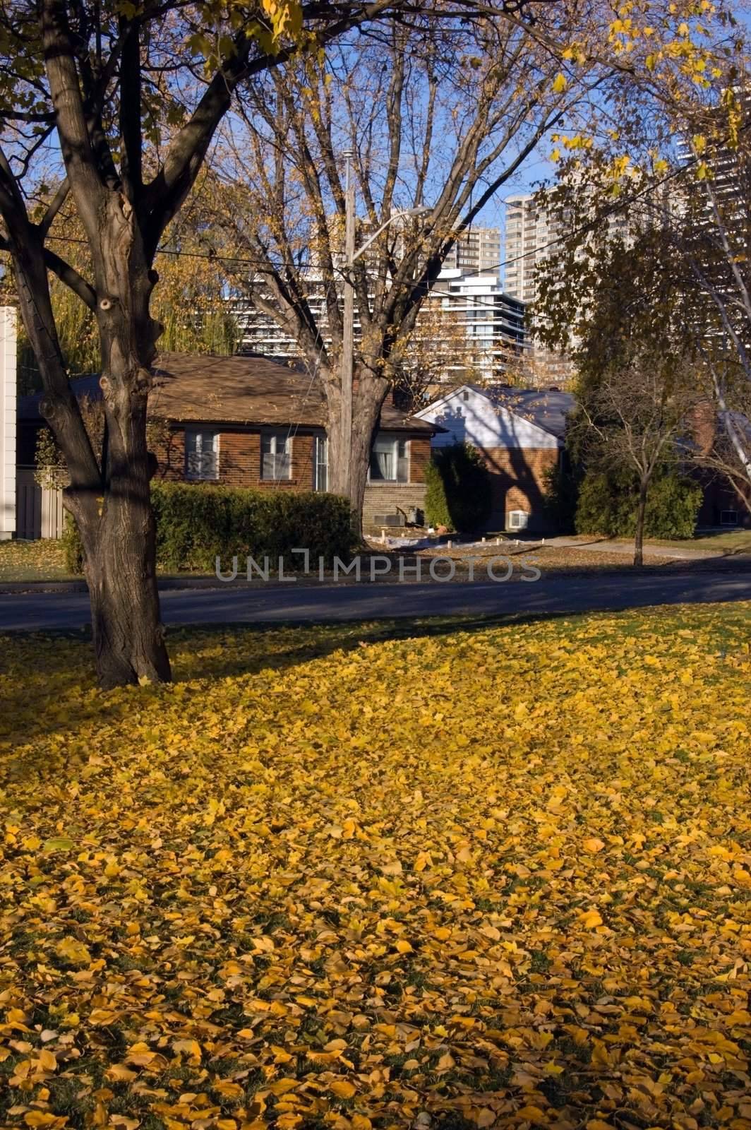 City landscape in sunrise light

