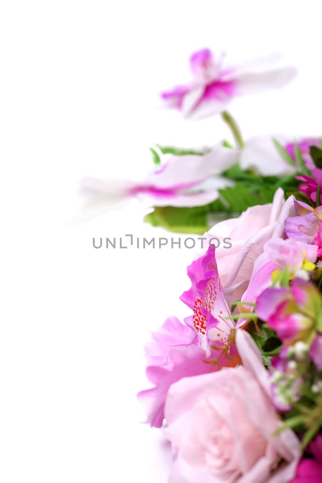 White with purple orchid and decorative leafs isolated on white background.