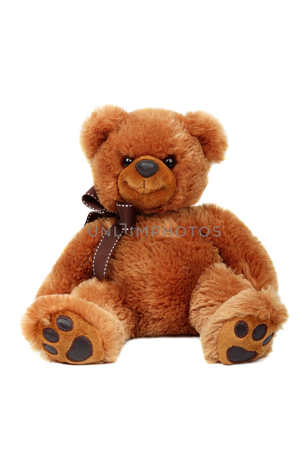 Studio shot of bear toy isolated on white background.