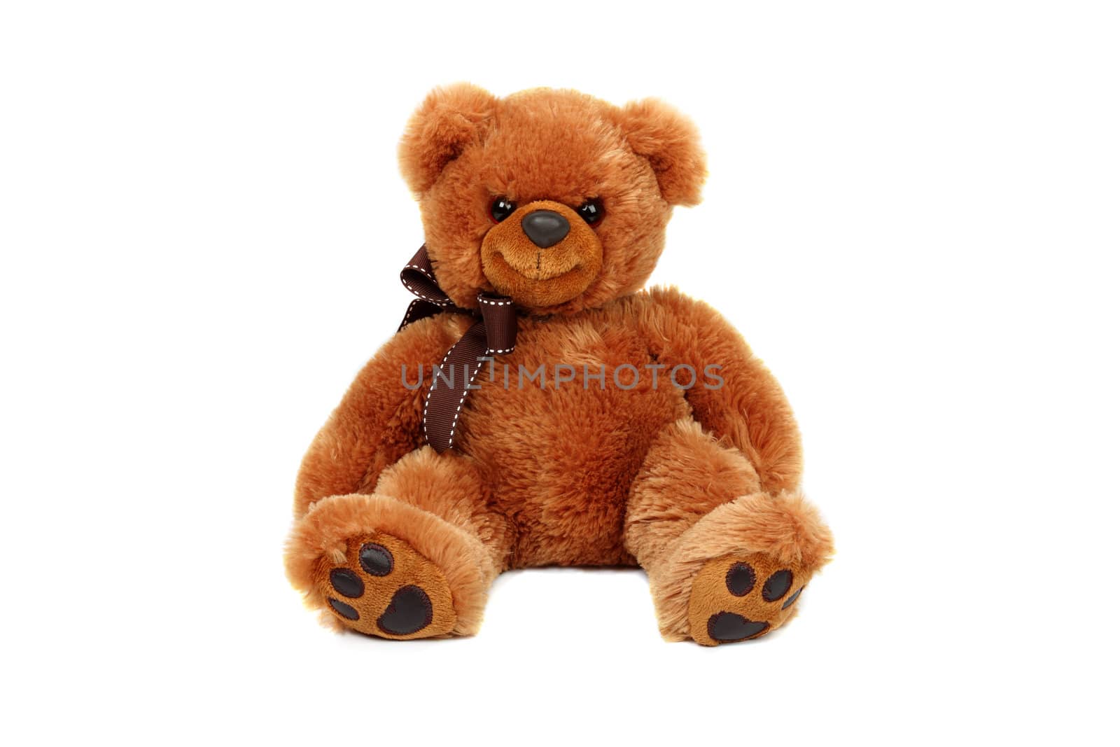 Horizontal studio shot of brown bear toy isolated on white background.