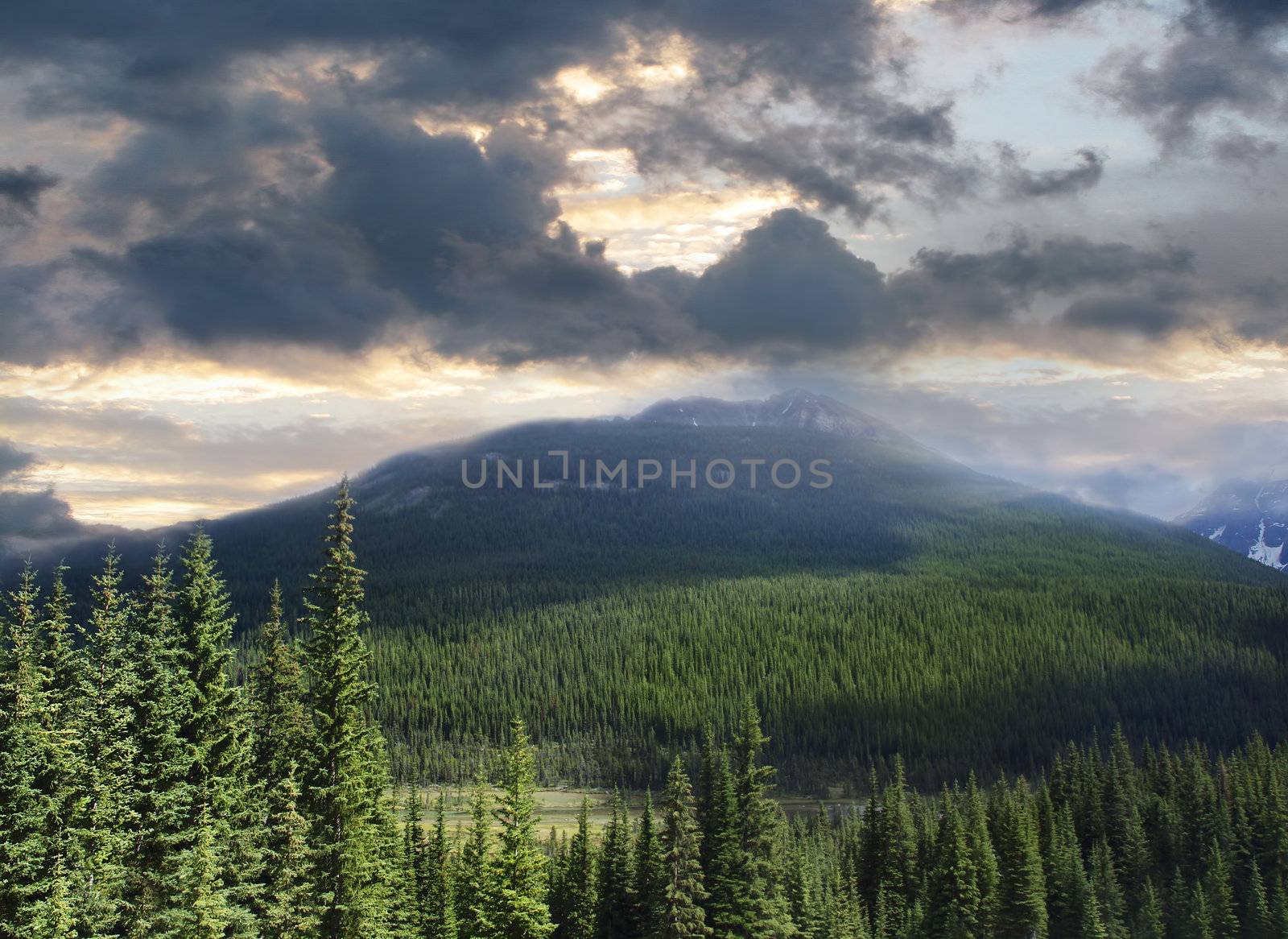 Beautiful view of the Rocky Mountains in Alberta by Sandralise