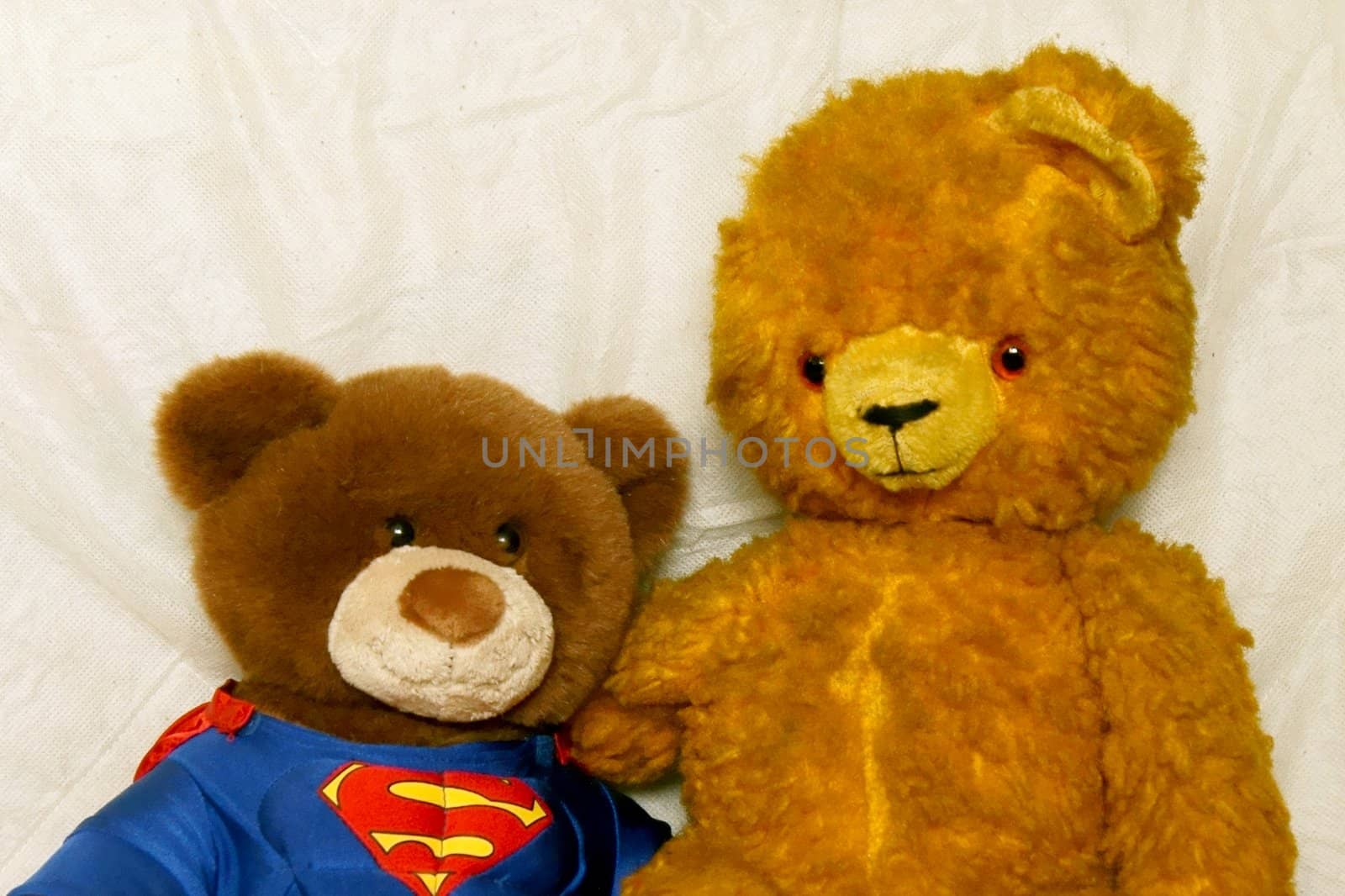 My old teddy-bear and new superteddy