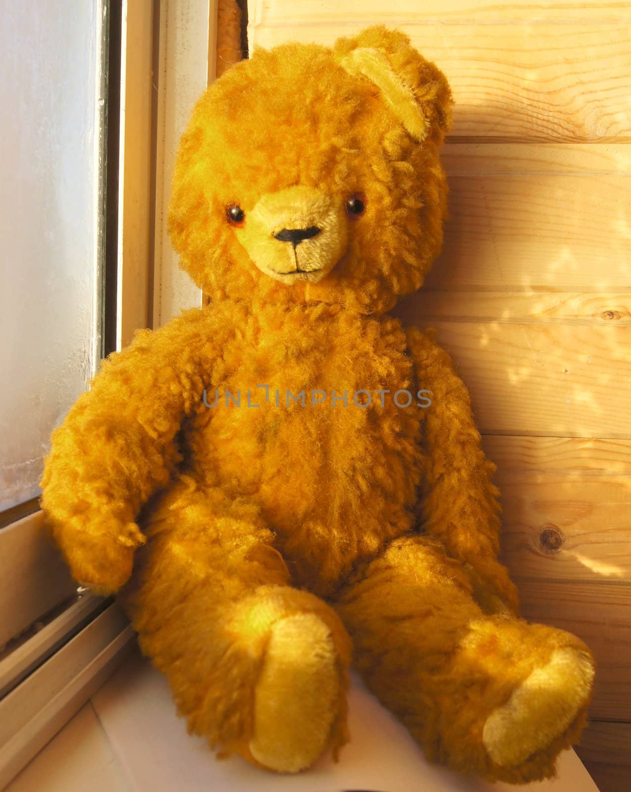 My old teddy-bear, lovest toy in cildhood