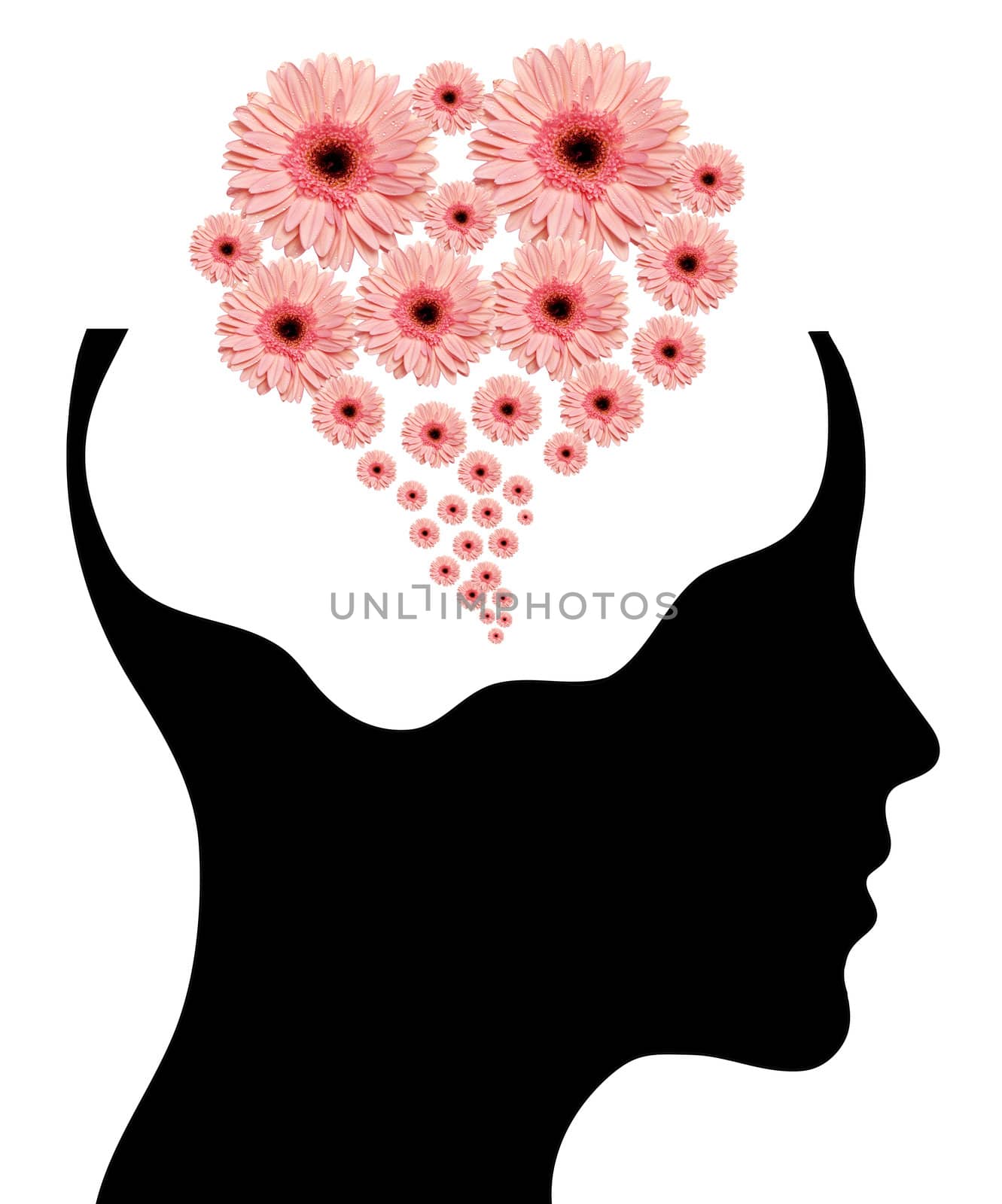 human head with flowers on white background by rufous