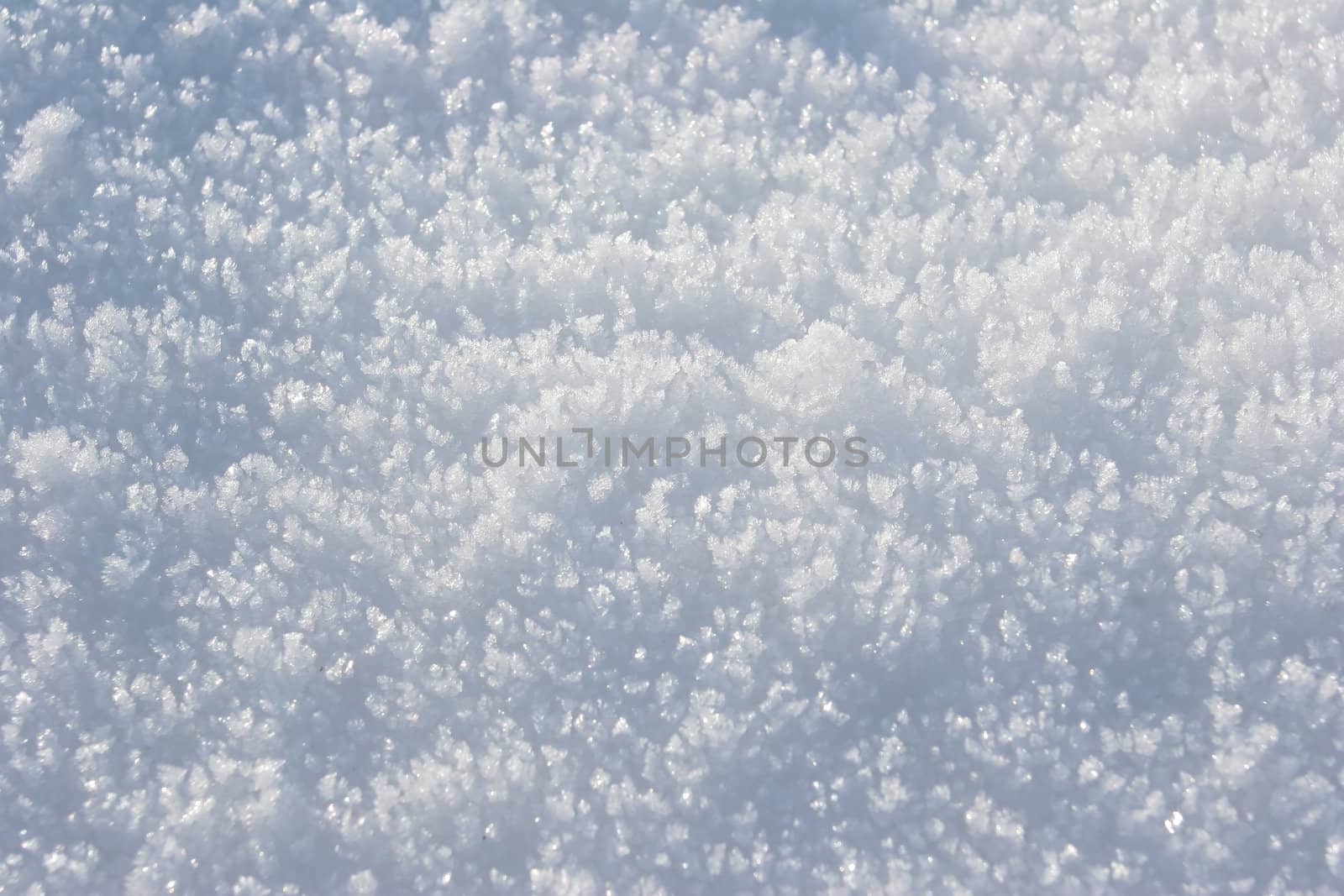 Close-up snow - sparkle flakes