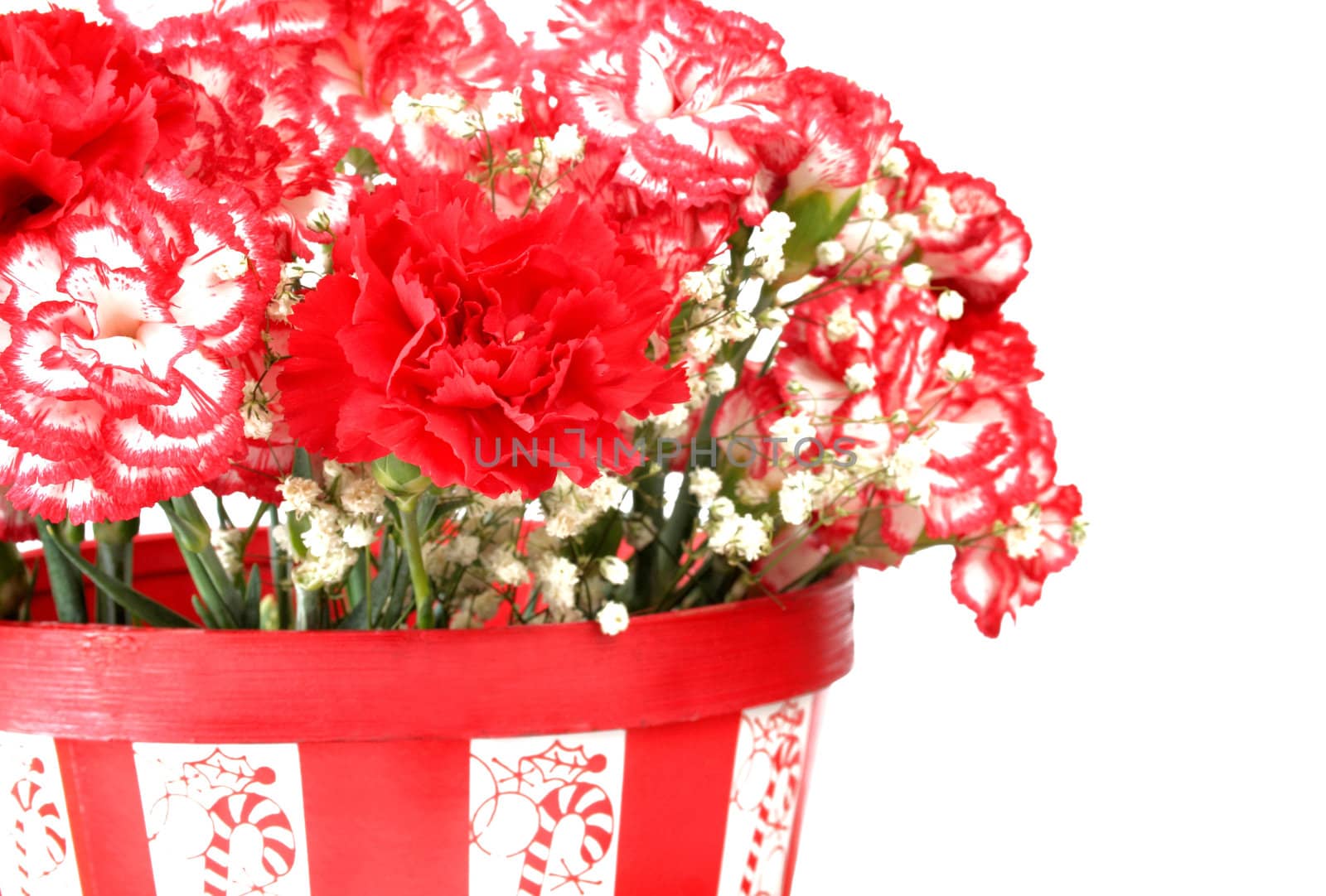 Basket of carnations with a Christmas theme.