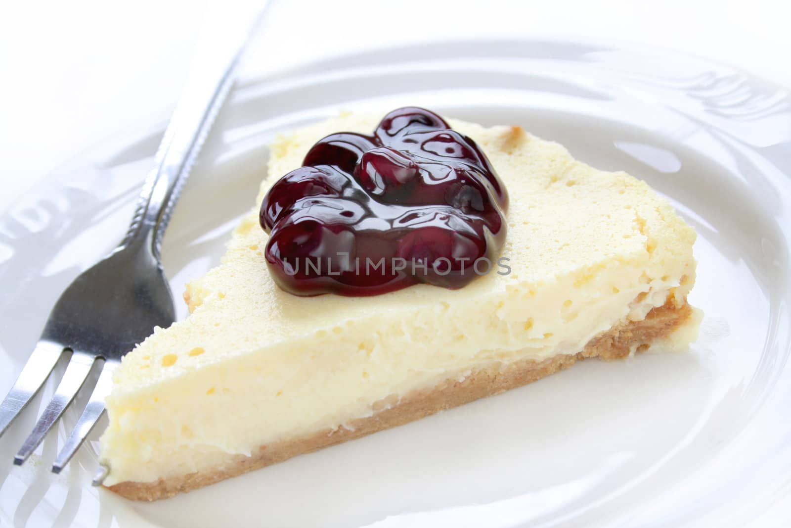 piece of blueberry cheesecake 