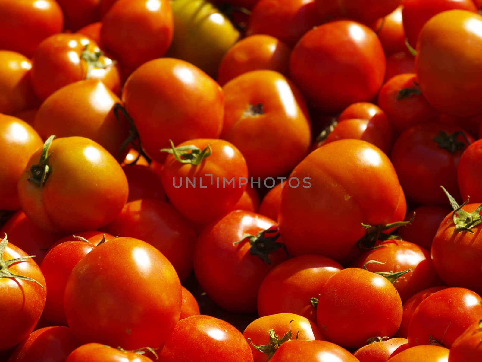 fresh tomatoes on greengrocers display