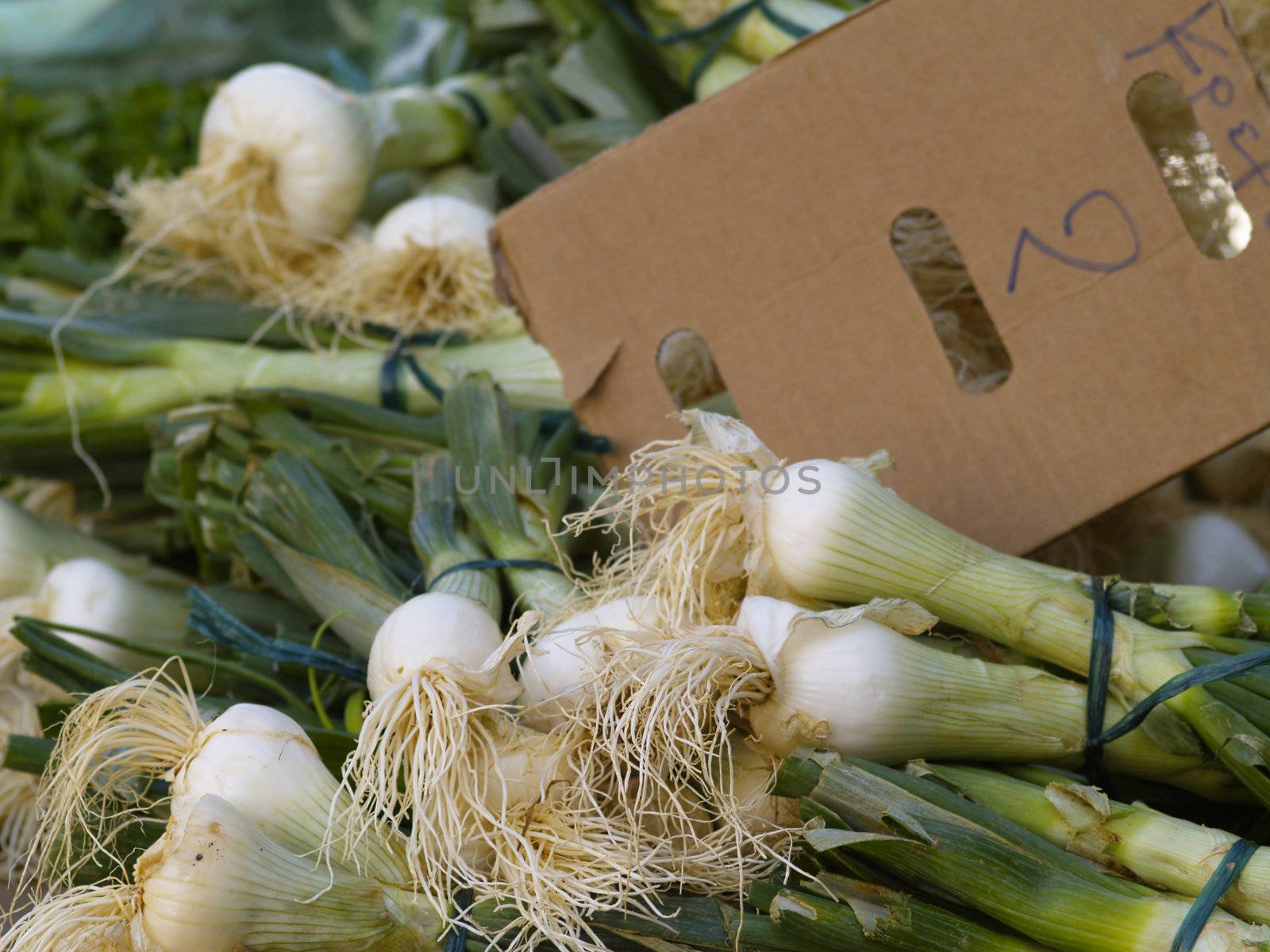 leek on market stand