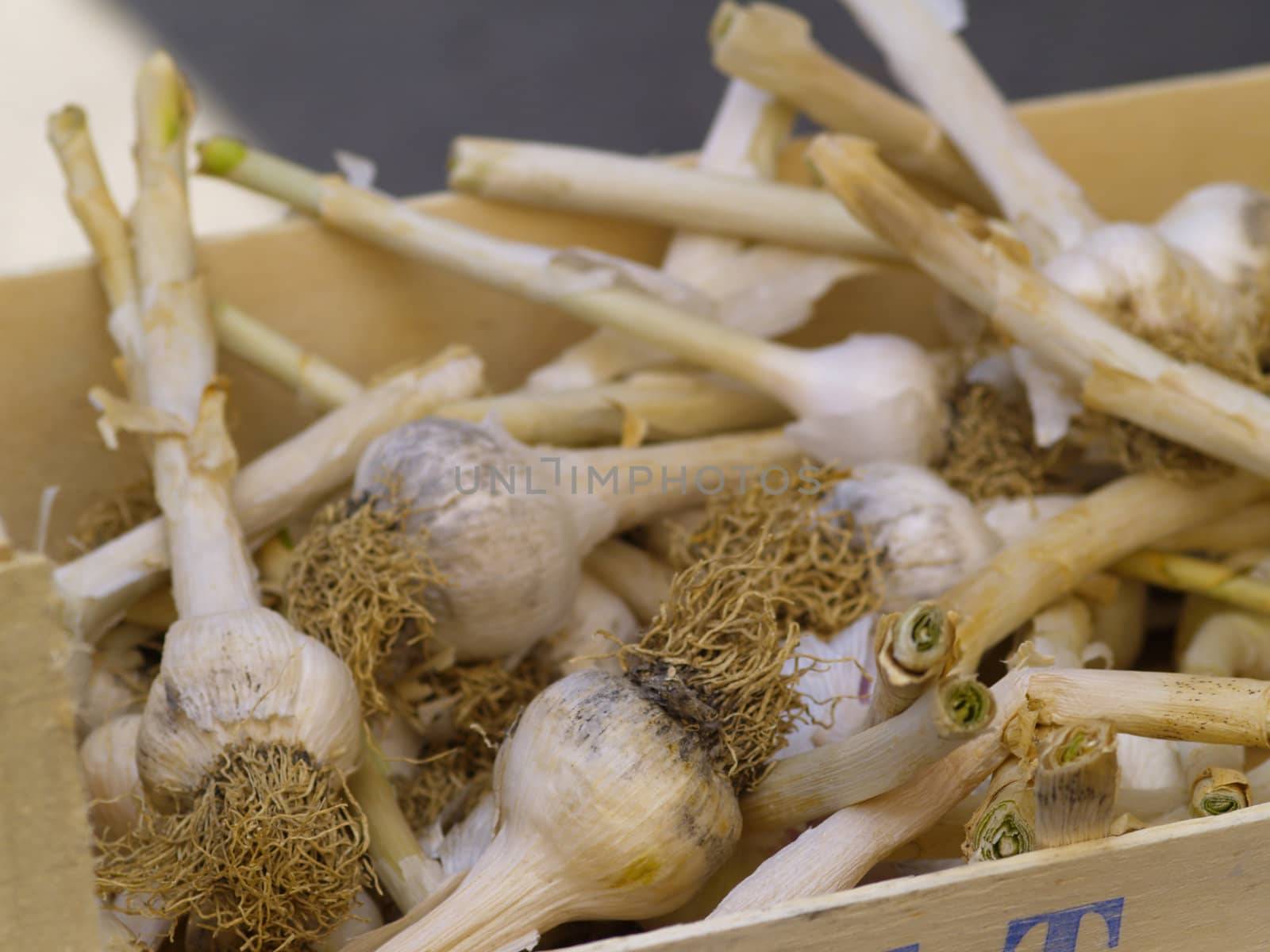 box with garlic bulbs