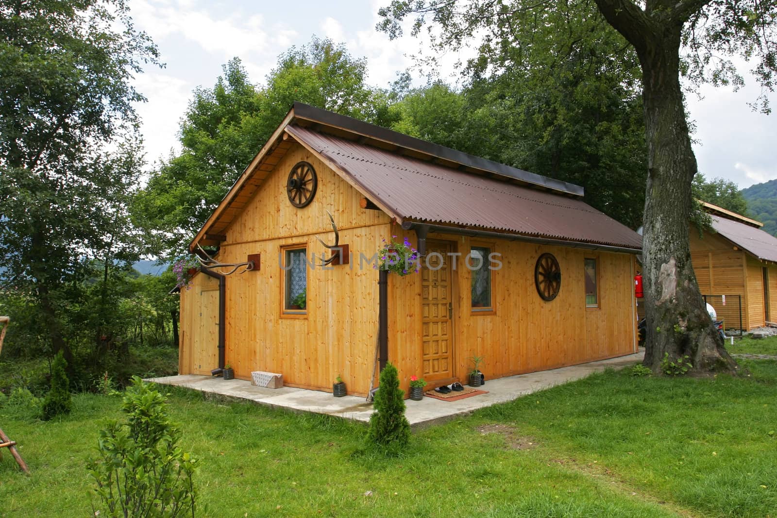 Traditional wood alpine cabin in the mountains