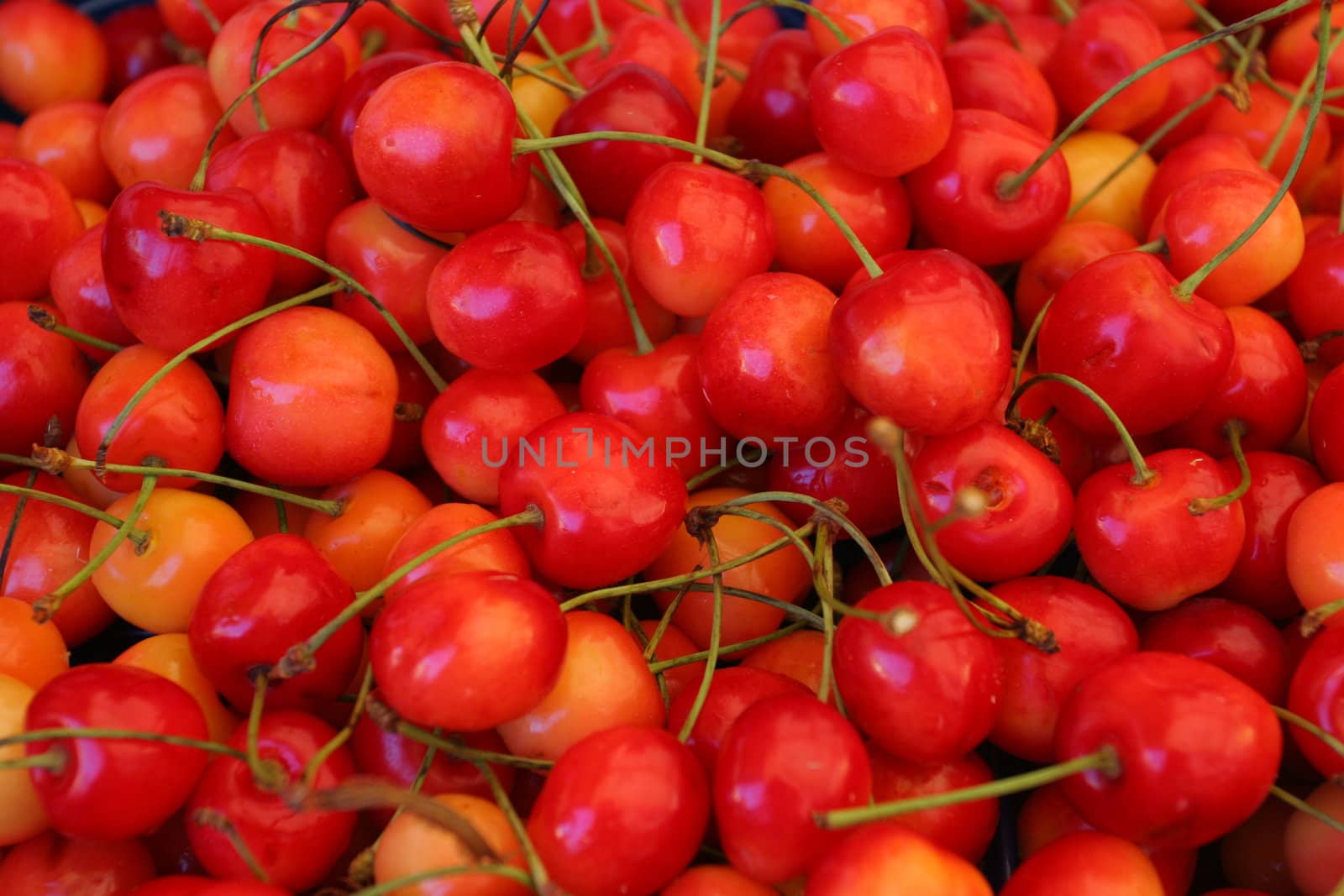 Red Cherries