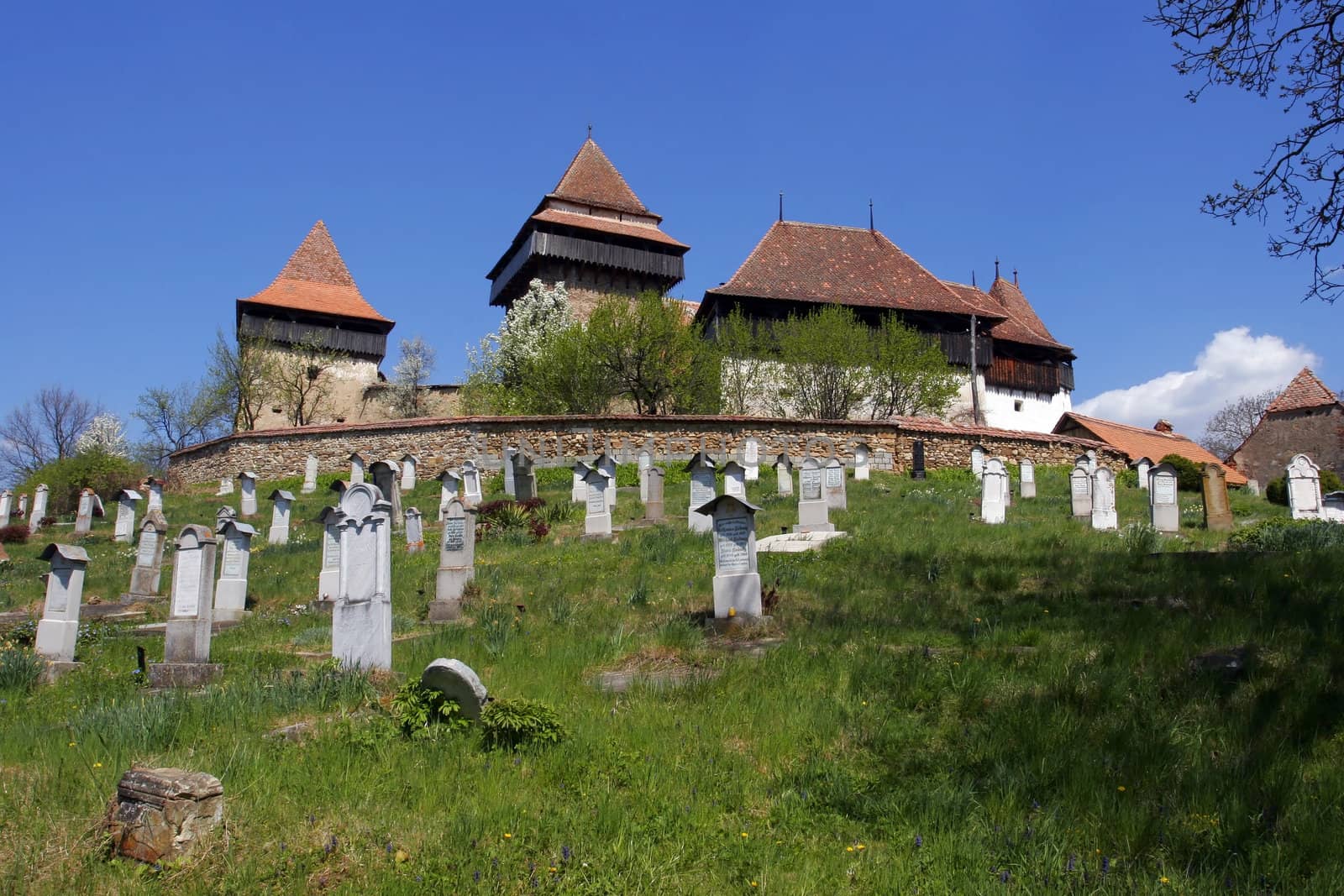 Fortified Church from Viscri, Transylvania