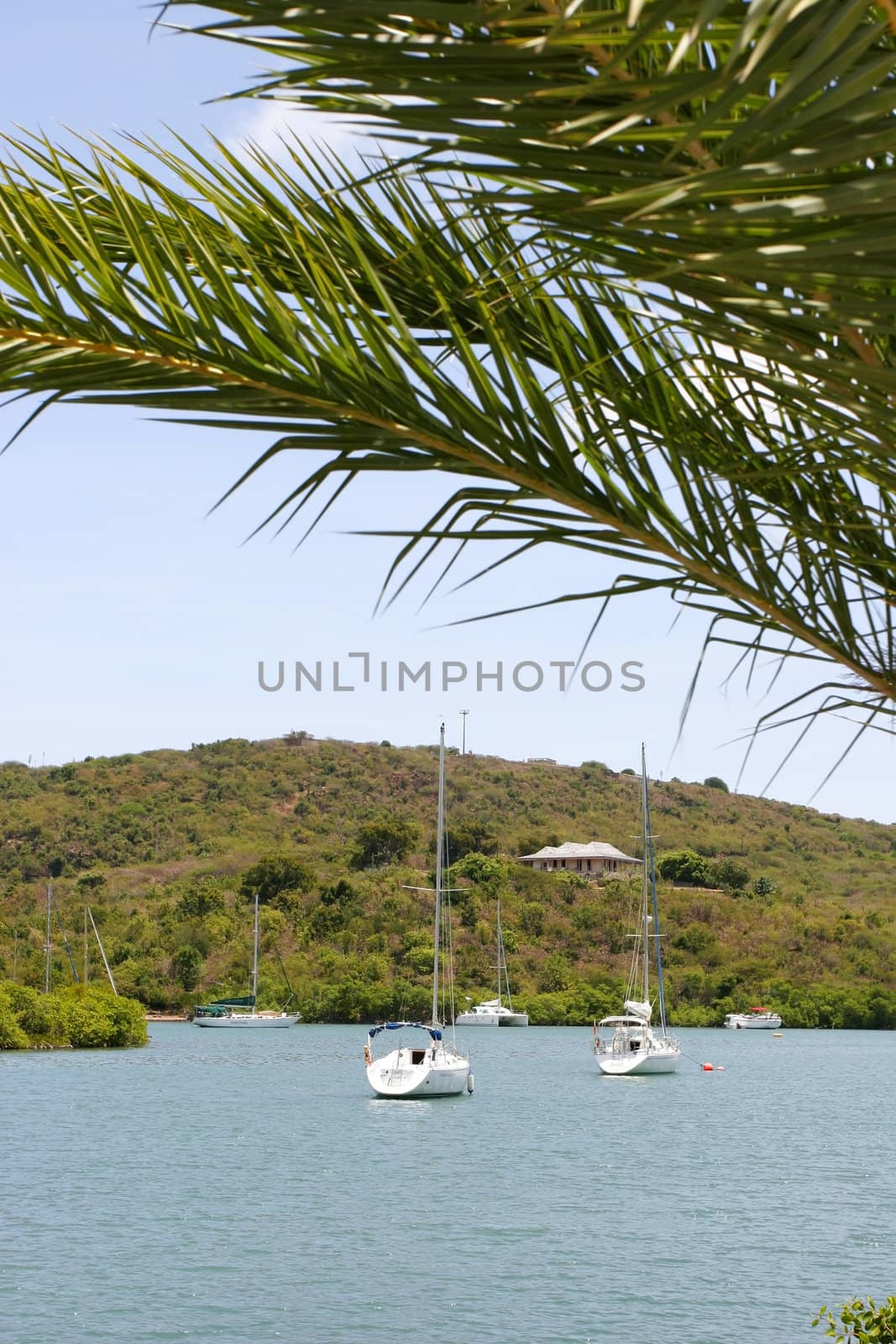 Protected boat harbor in the Caribbean