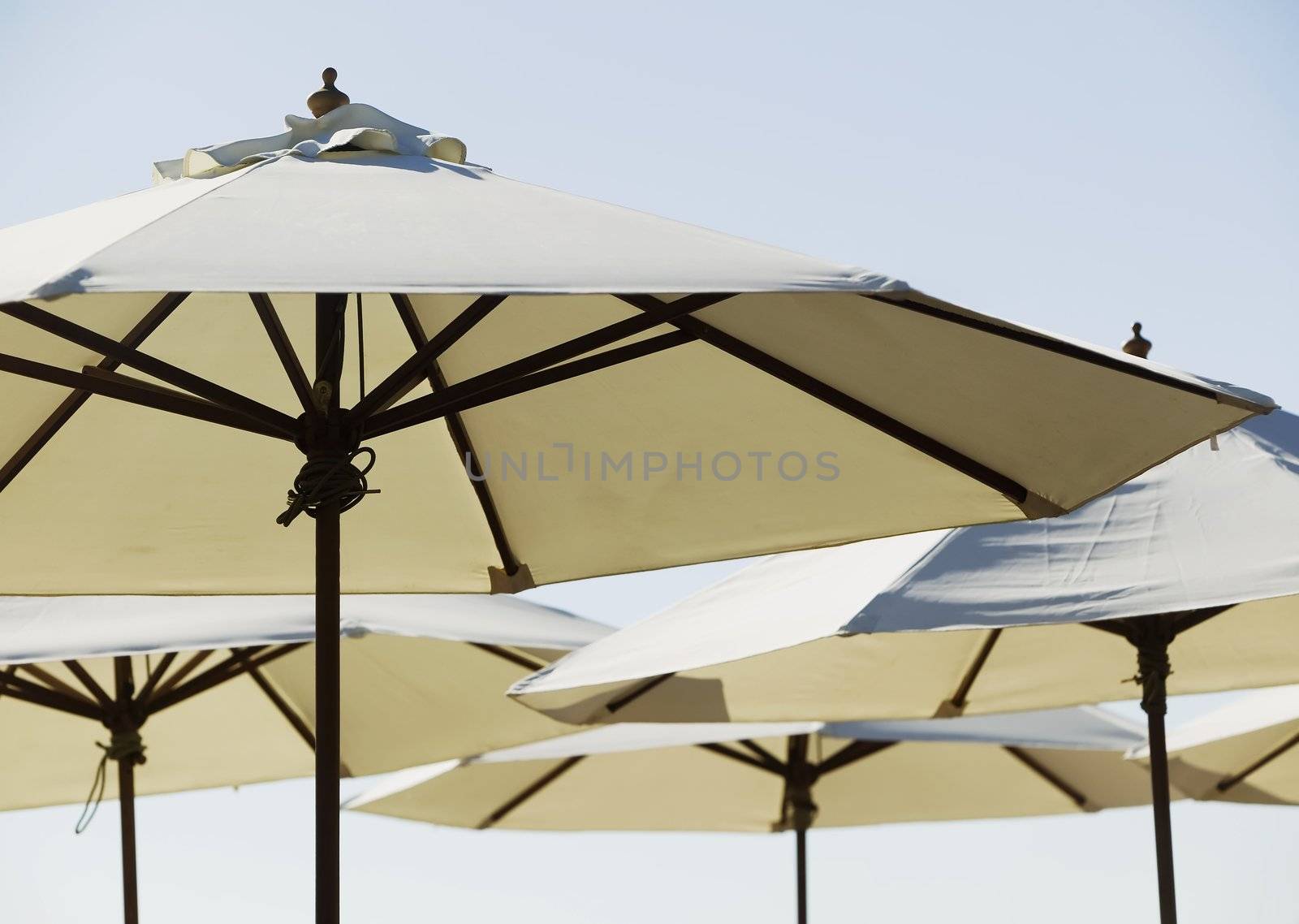 Beach Cafe Umbrellas by Creatista