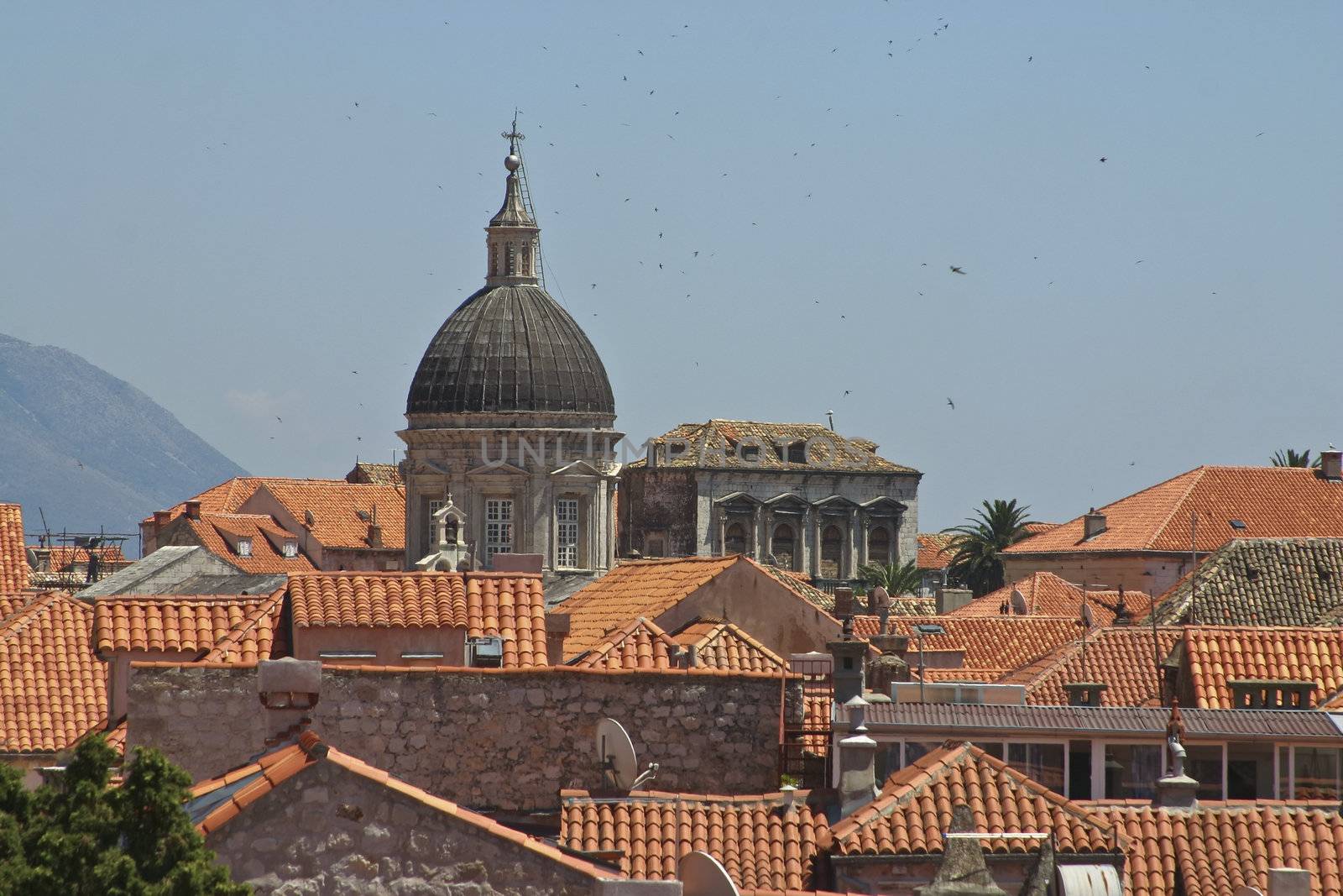 Old orange roof tiles by PixAchi