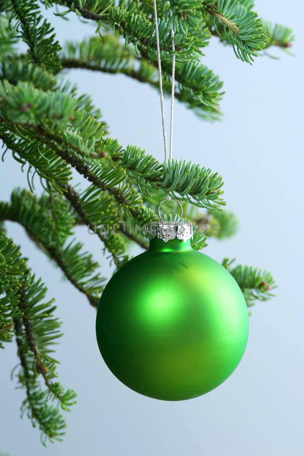 Green ornament hanging on Christmas tree.