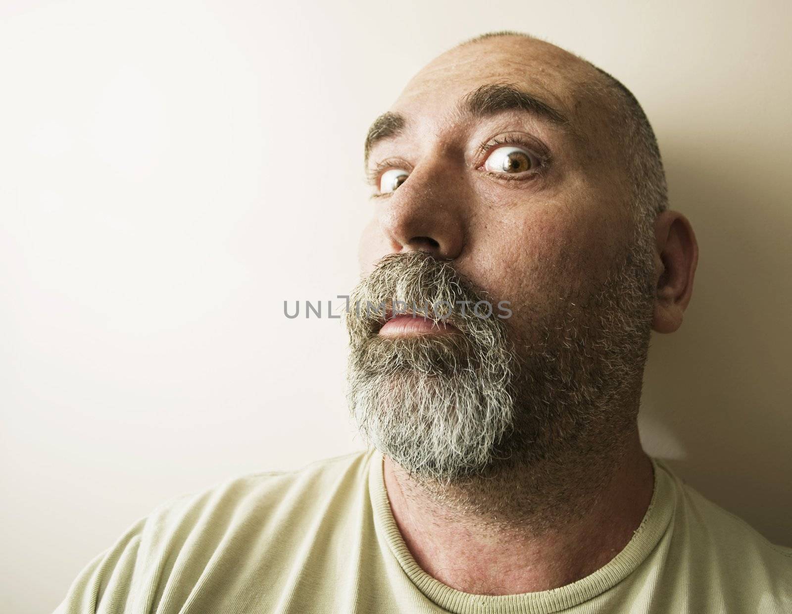 Portrait of a suspicious bald man with a beard.