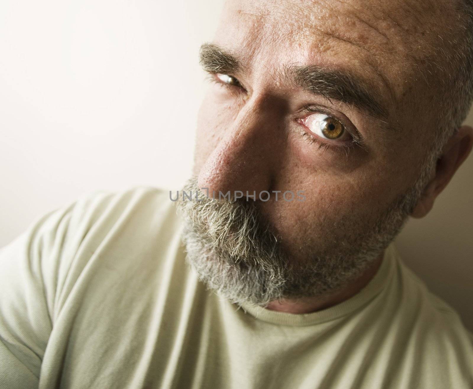 Portrait of a suspicious bald man with a beard.