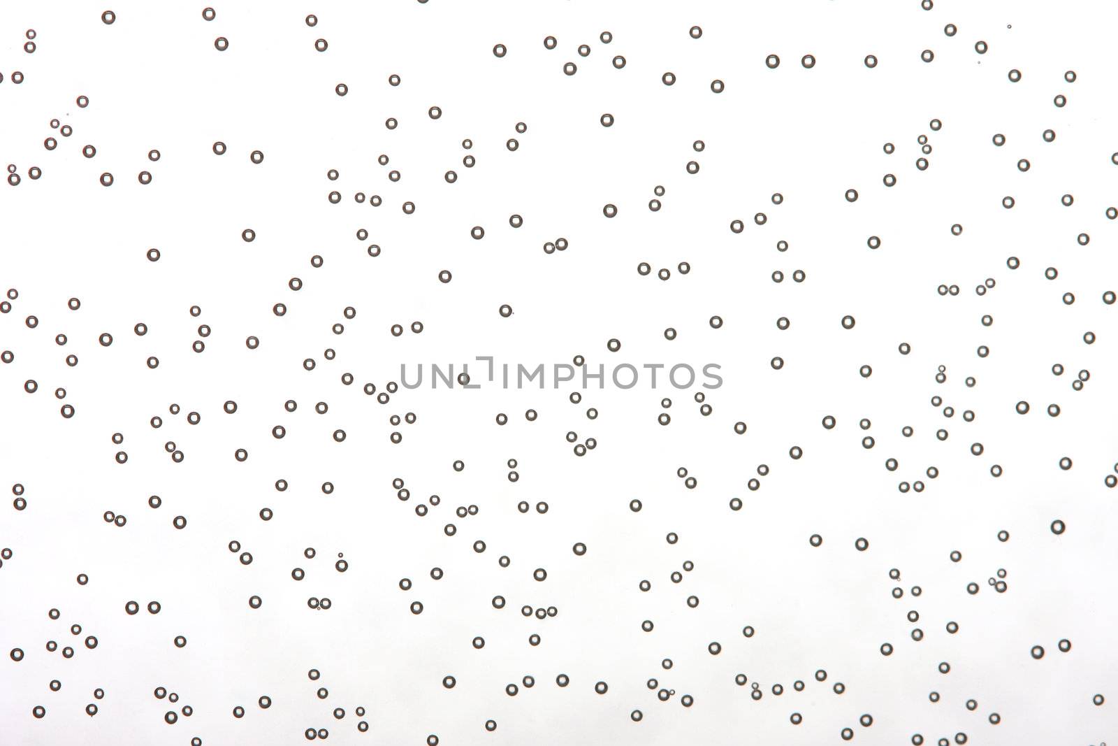 water bubbles shot with macro lens in studio set against white