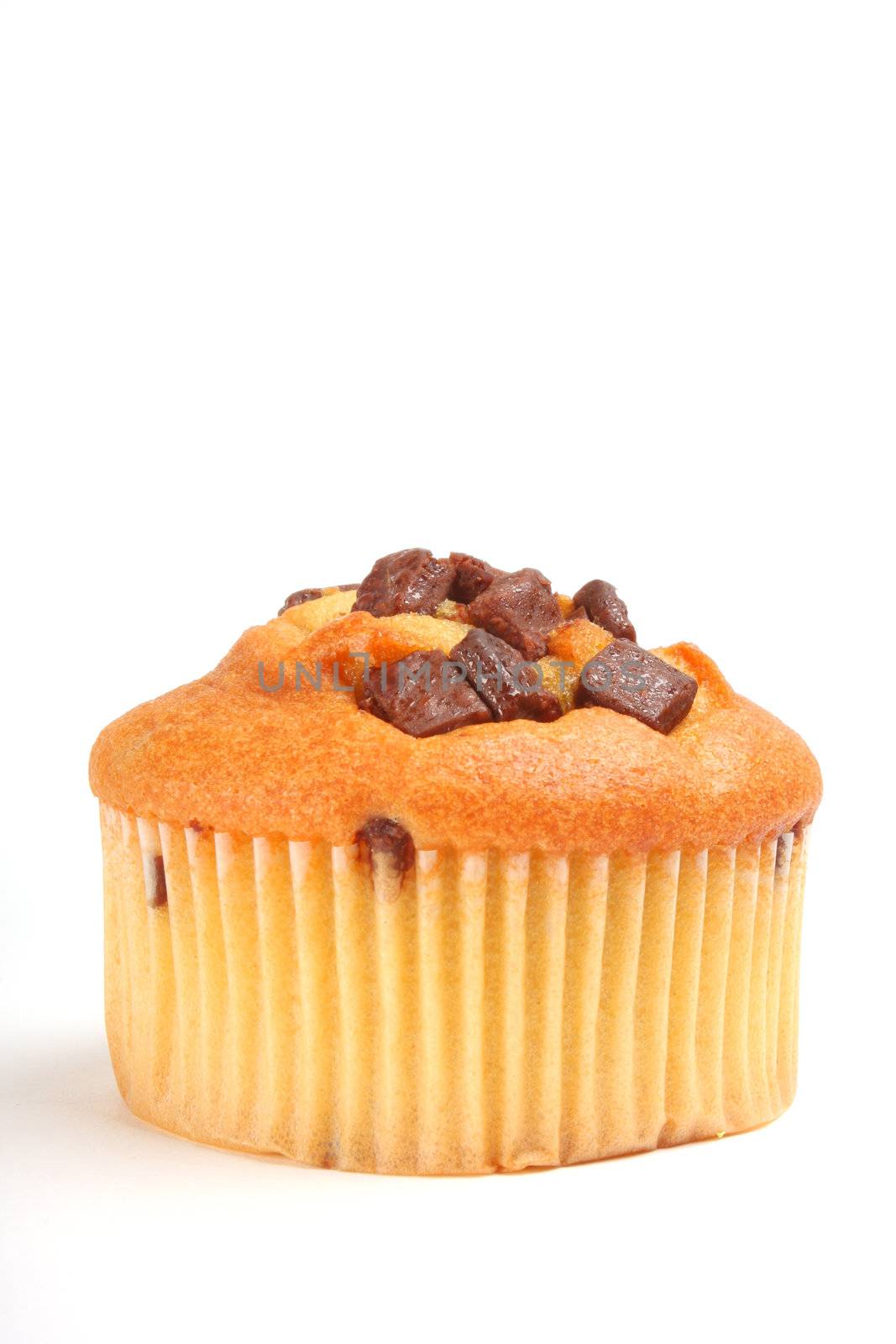 cupcake isolated on white shot in studio, copy space