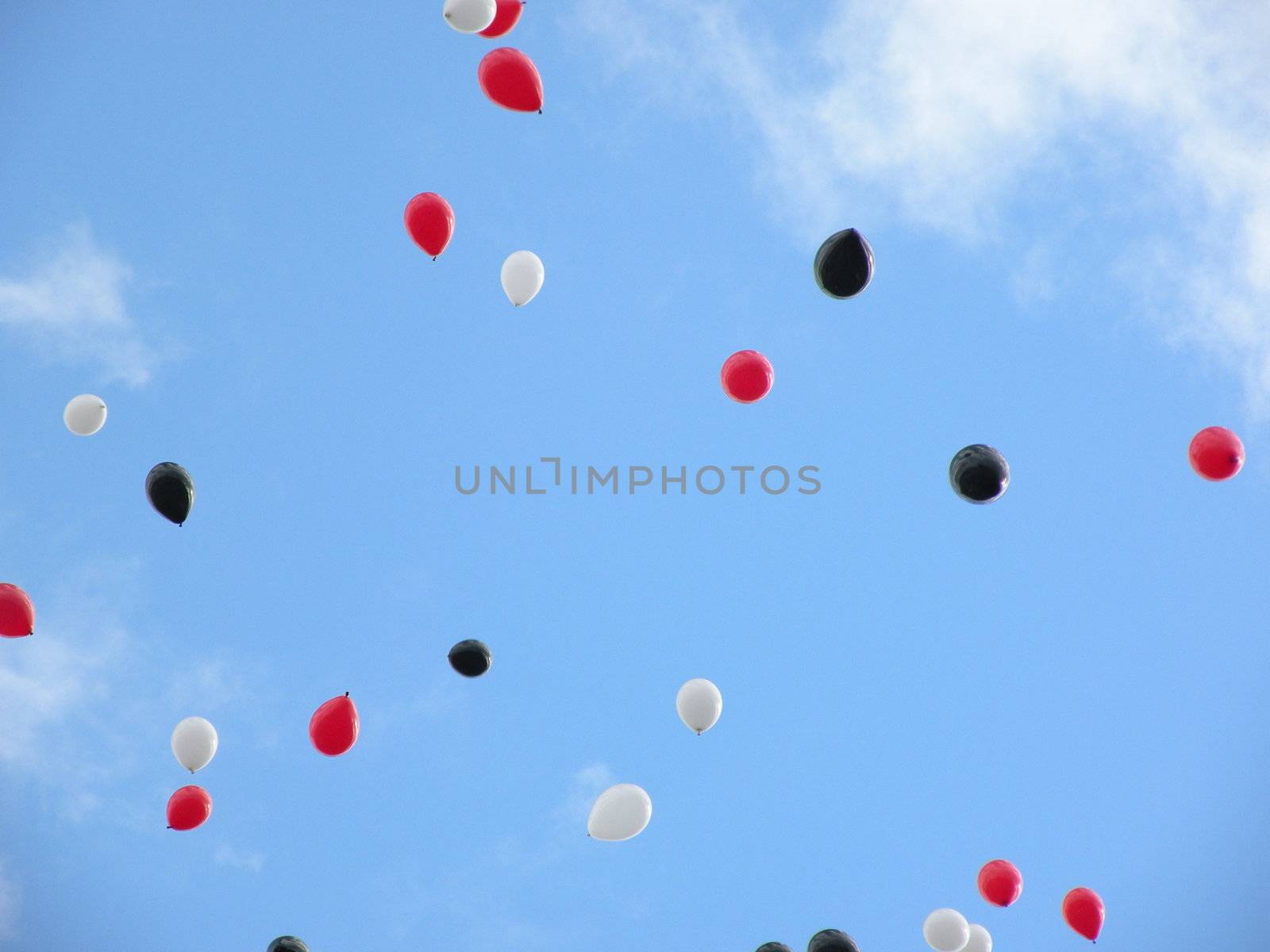 balloons soaring in the sky
