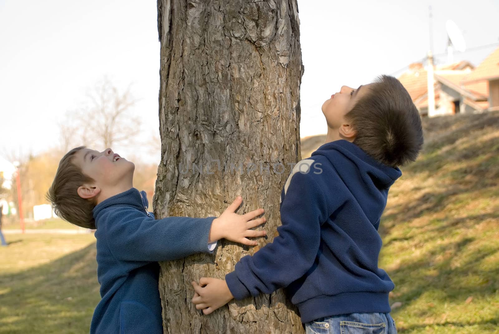 two boys hugging a tree and protecting it