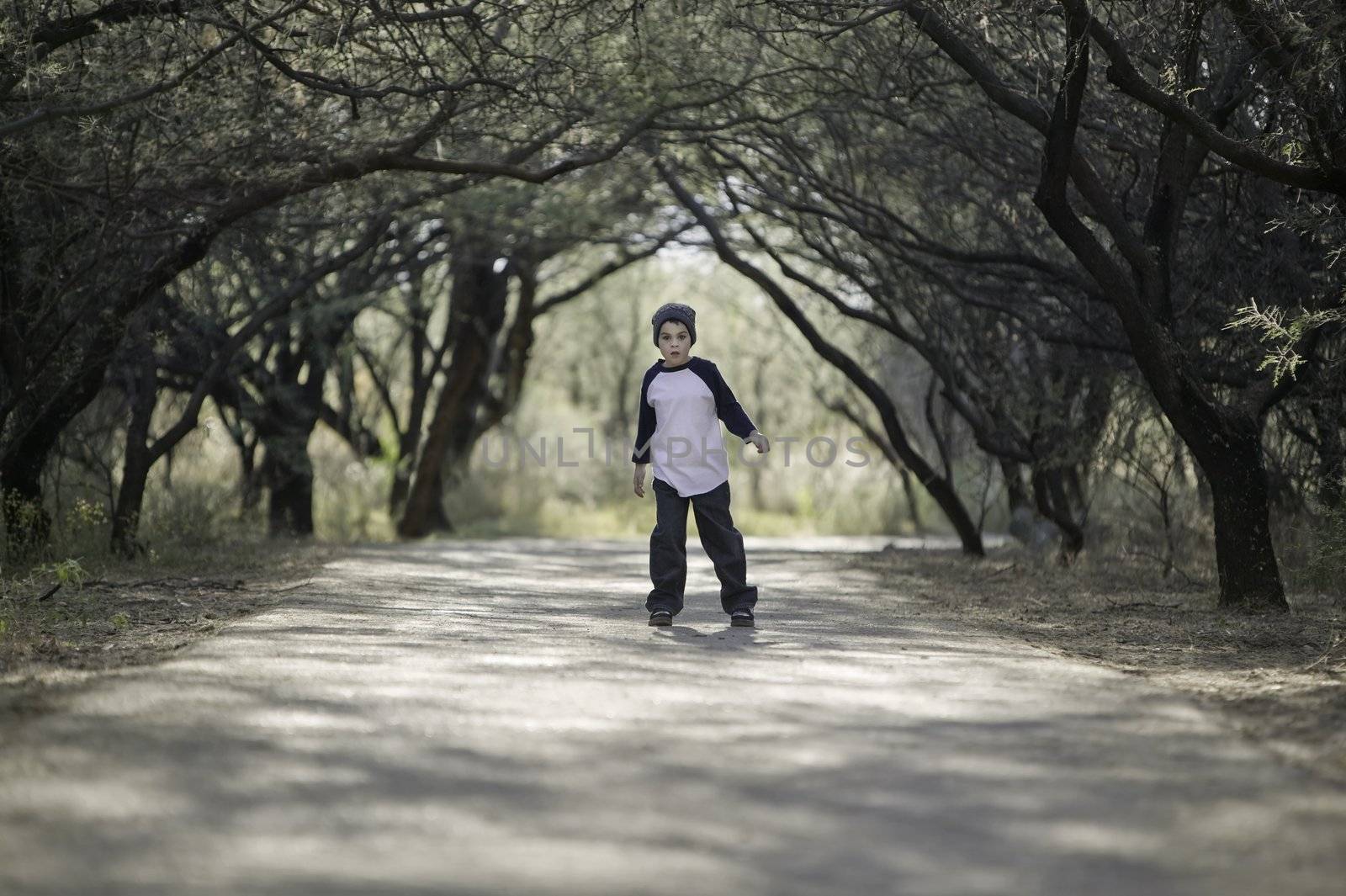 Boy on a Path by Creatista