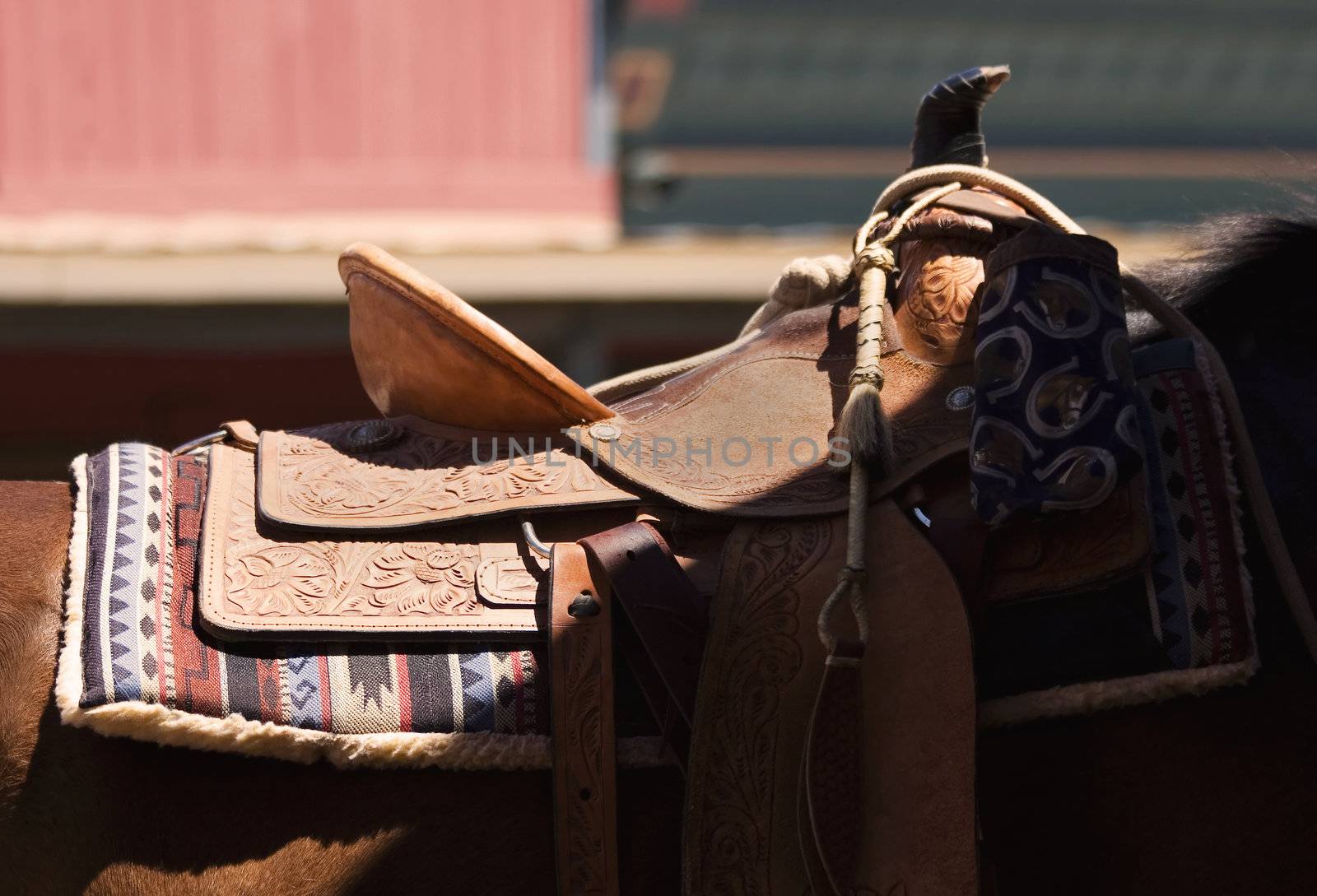 Horses saddle crossed by a diagonal shadow.