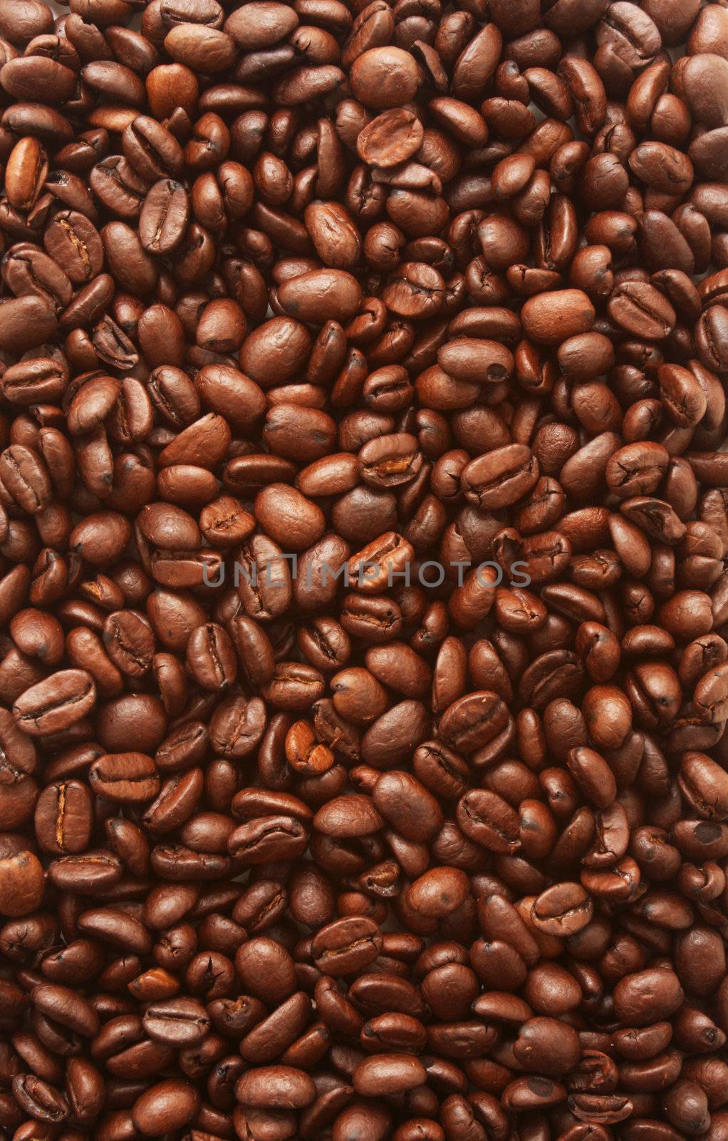 frame filling shot of coffebeans, perfect for background and backdrops