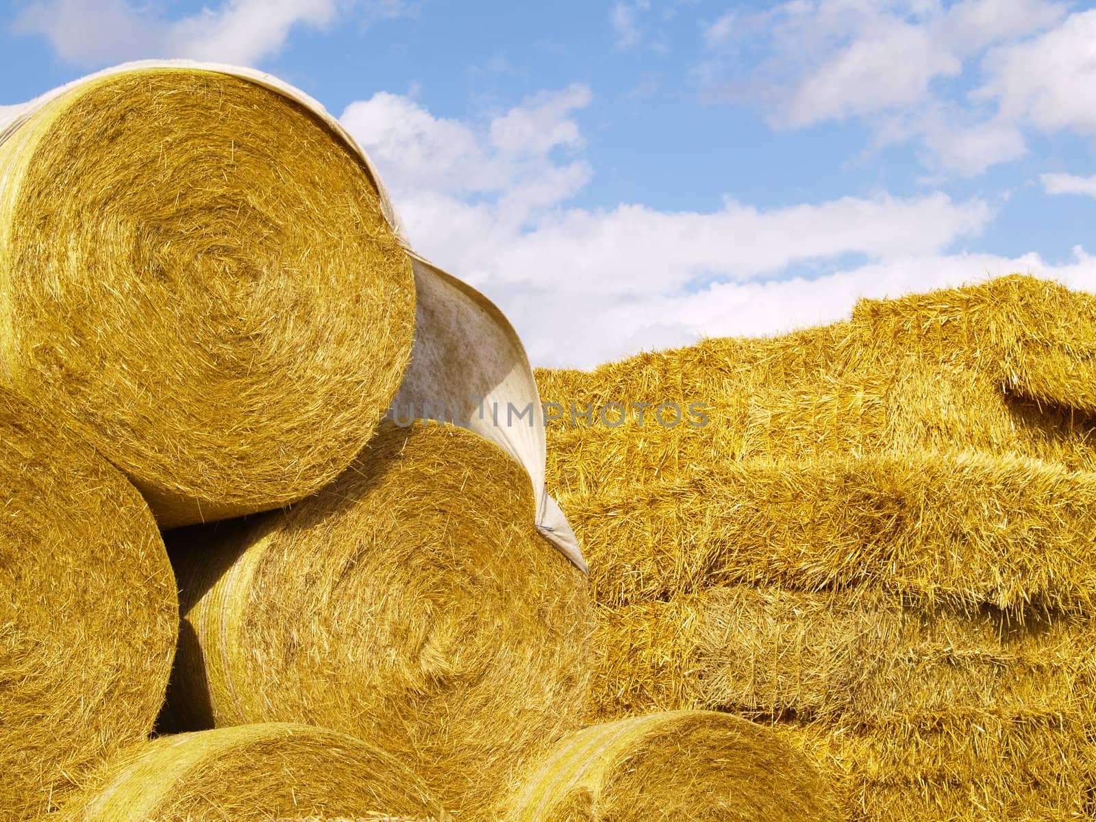 bales of straw under blue sky