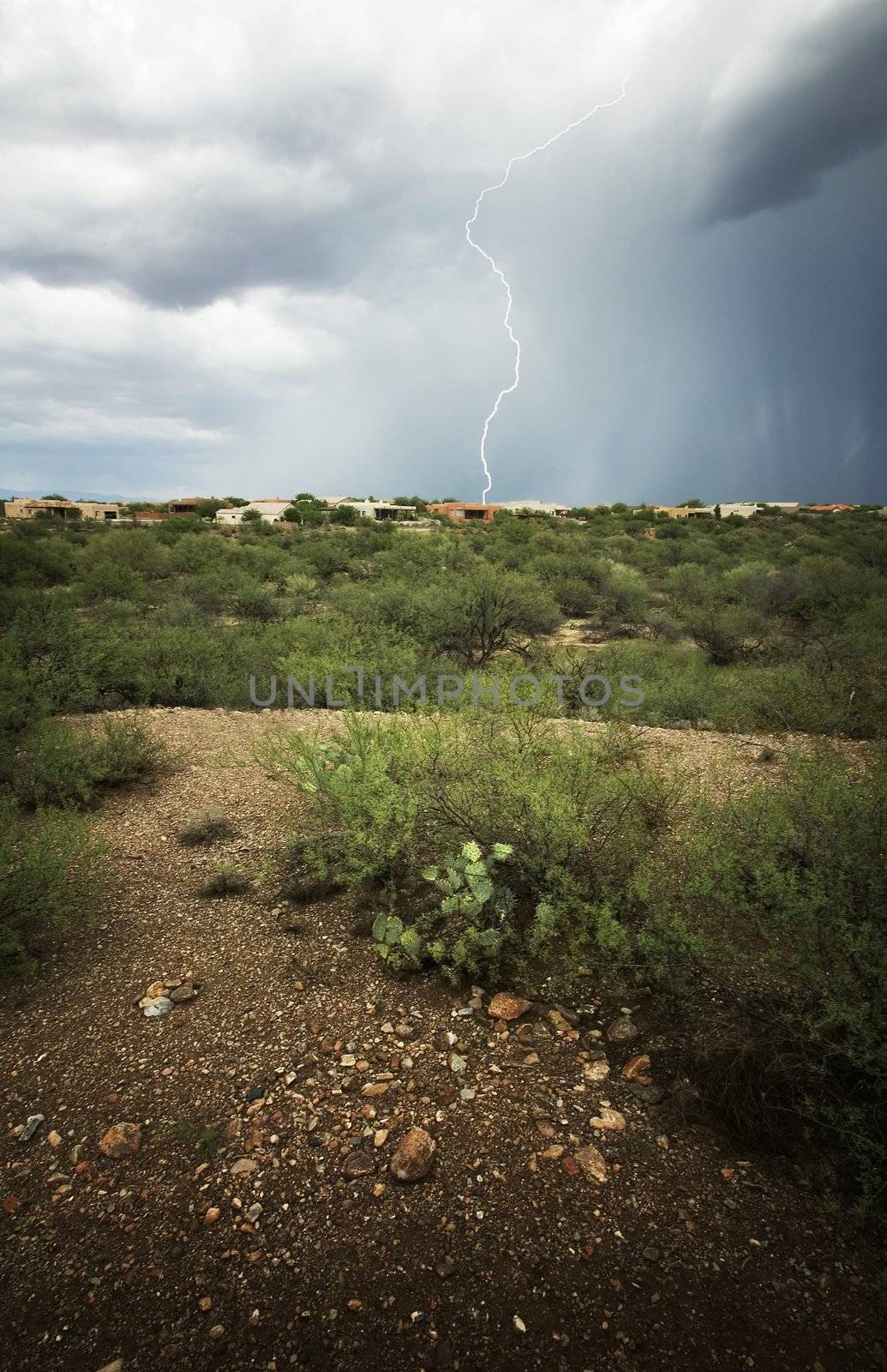 Lightning strike in a southwest neighborhood on a ridge along the horizon.