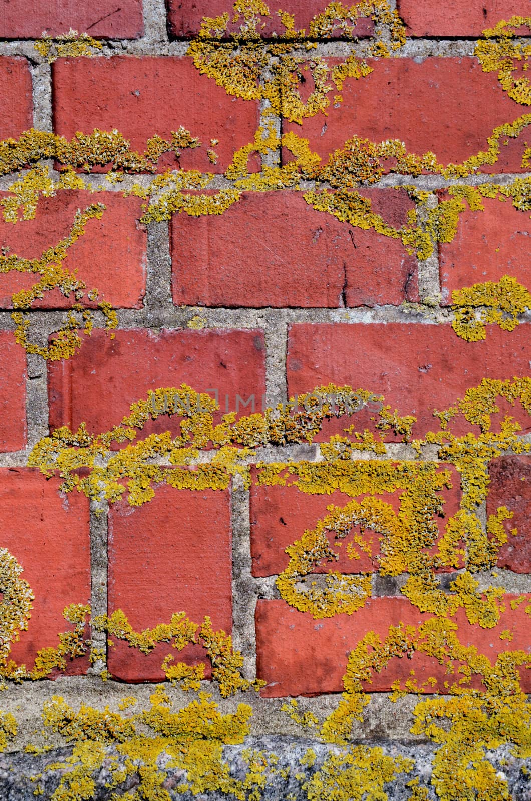 Mossy red brick wall fragment background. by sauletas