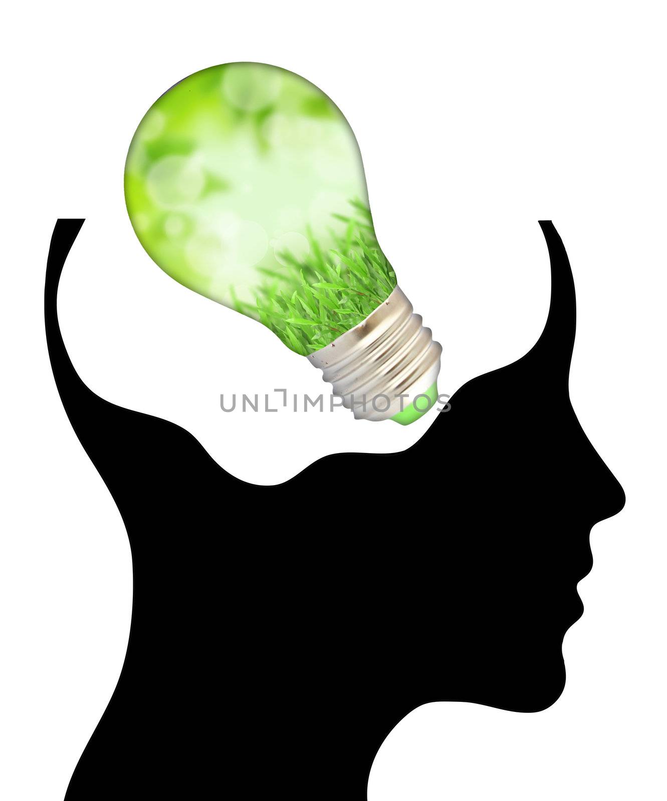 bulb with ecology symbol in human head,