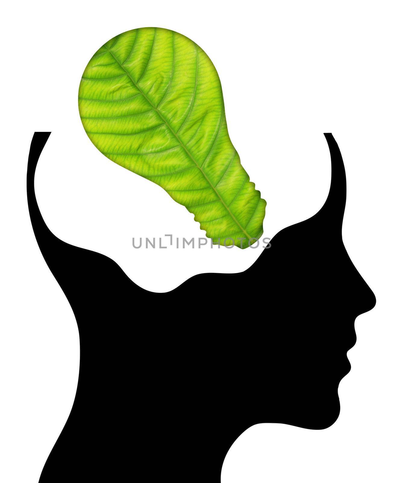 bulb with ecology symbol in human head,