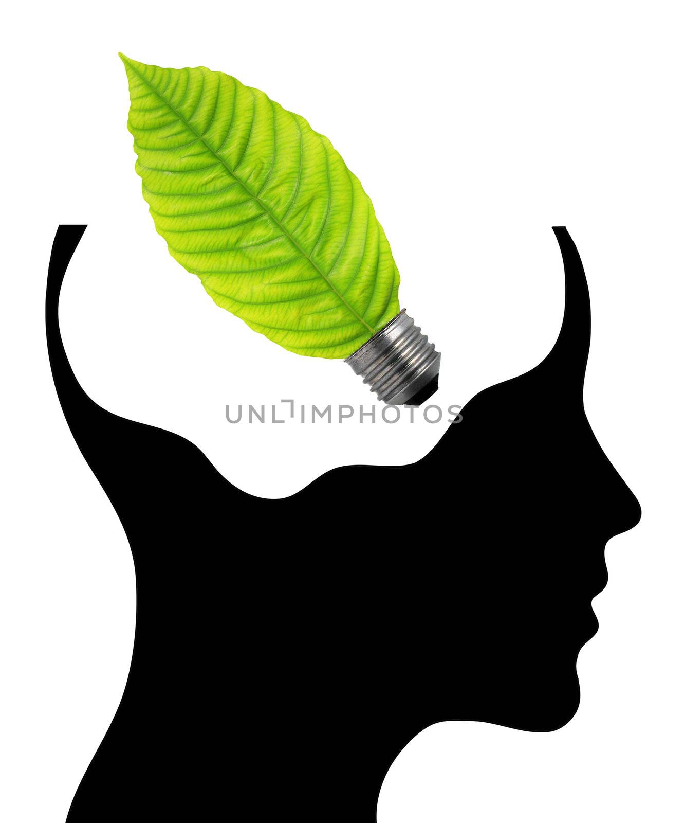 bulb with ecology symbol in human head,