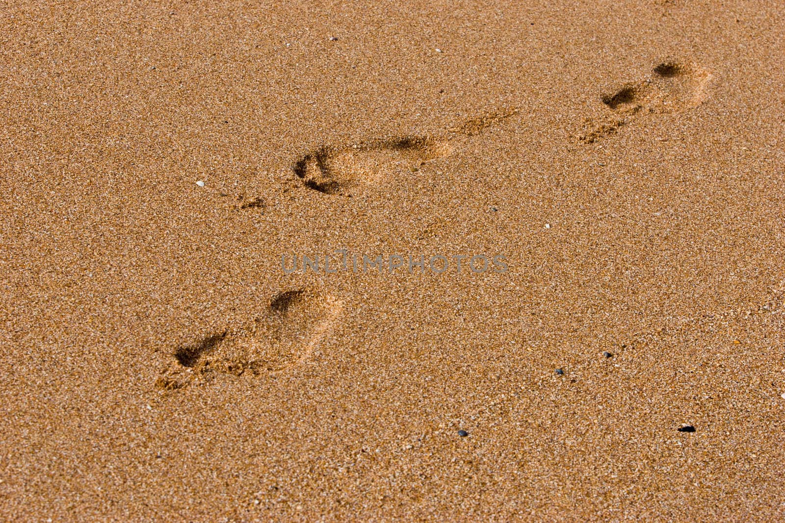 leisure series: foot step on the beach sand