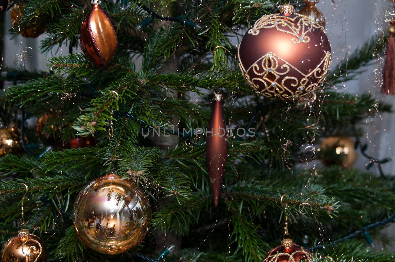 Decorative Christmas balls hanging on pine - tree branch