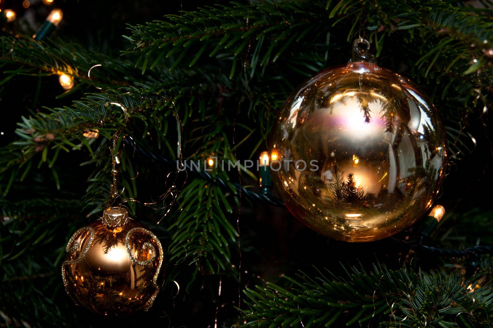 Decorative Christmas balls hanging on pine - tree branch