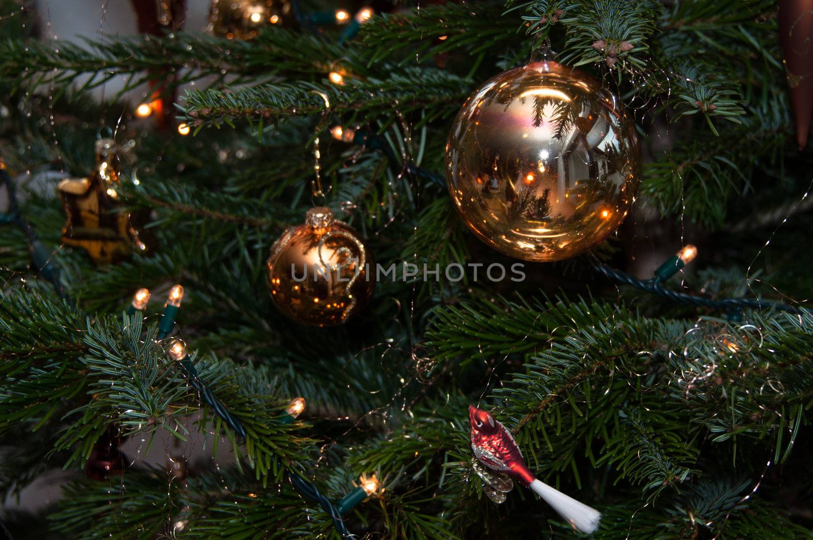 Decorative Christmas balls hanging on pine - tree branch