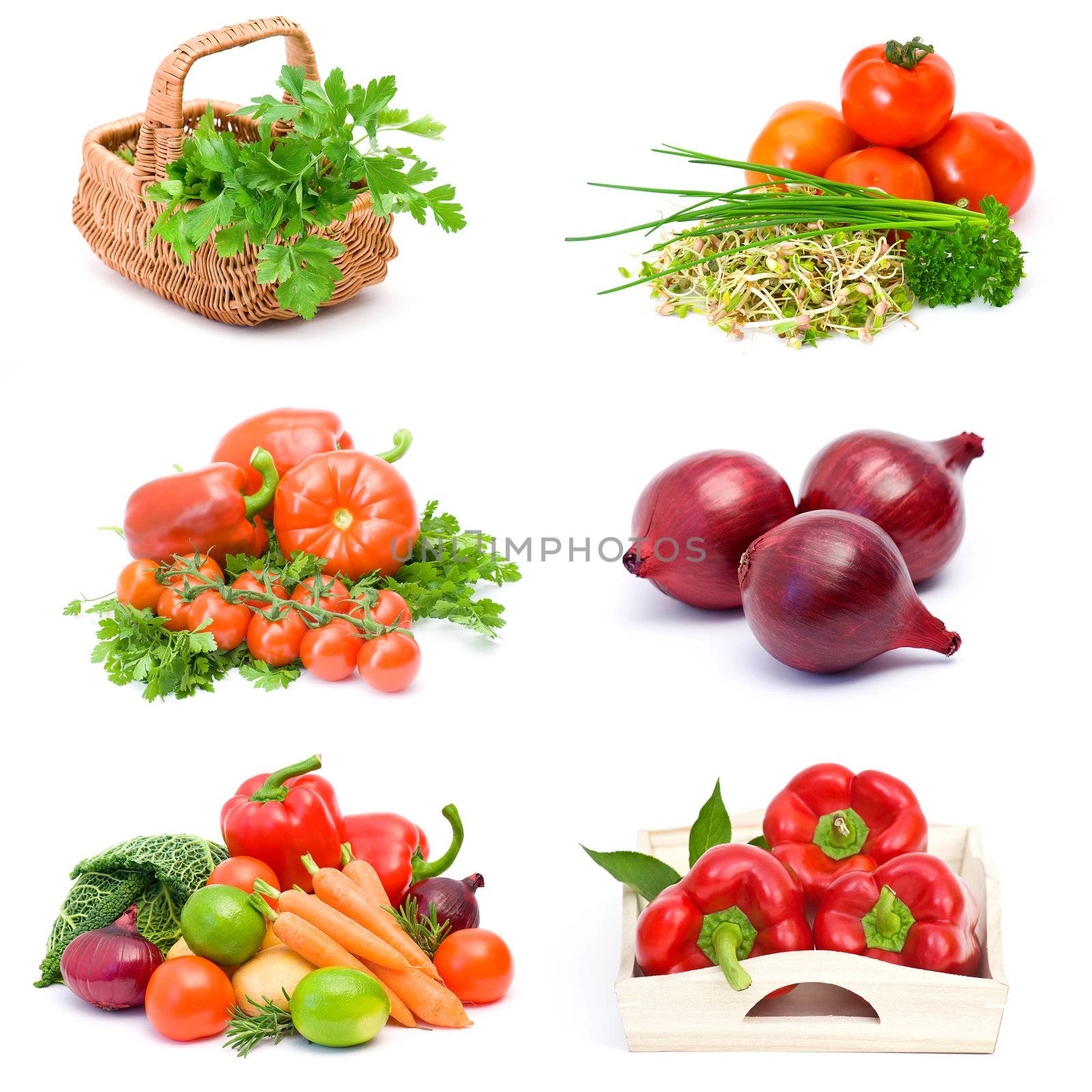 vegetables collection by miradrozdowski