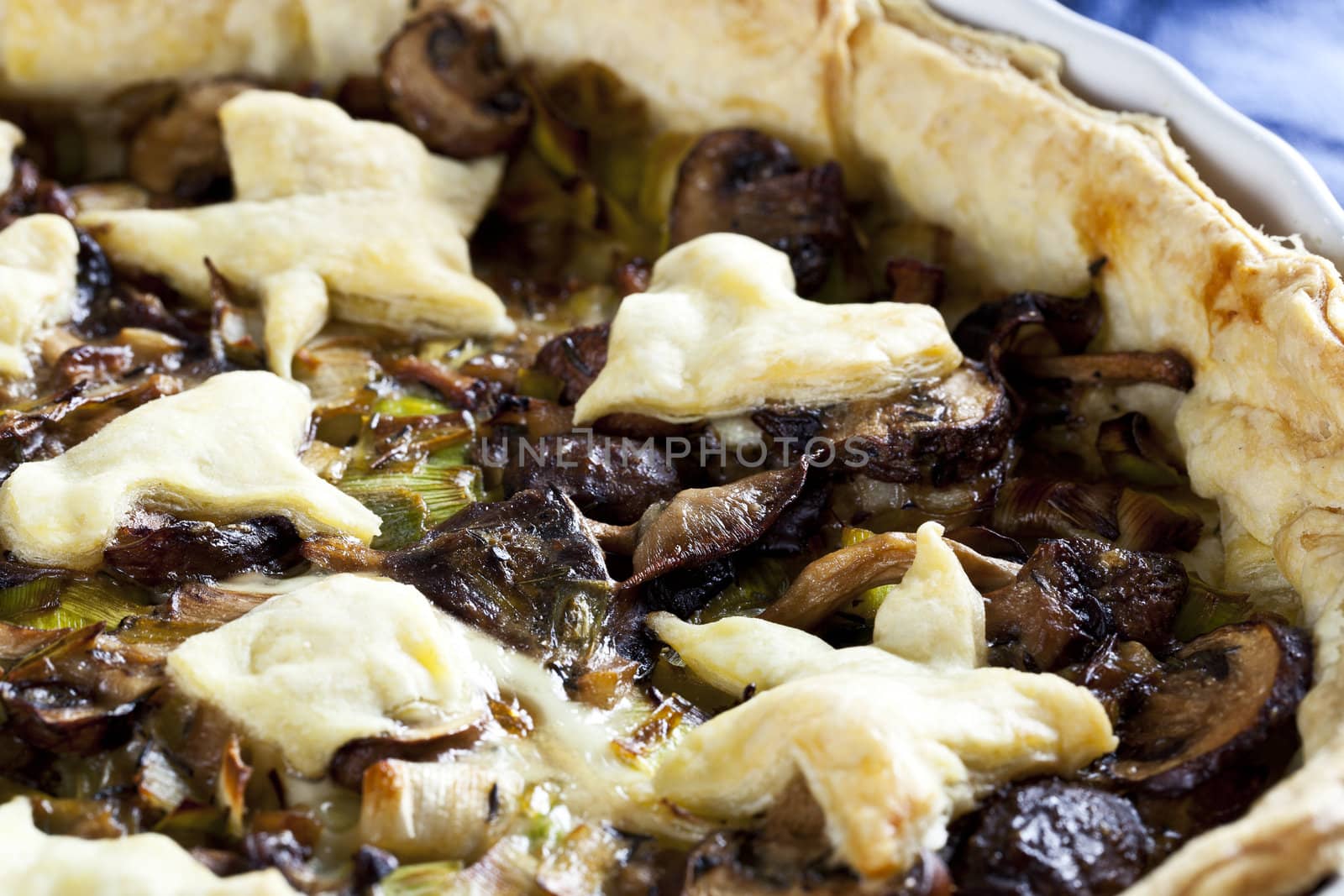 Savory mixed mushroom and leek tart,