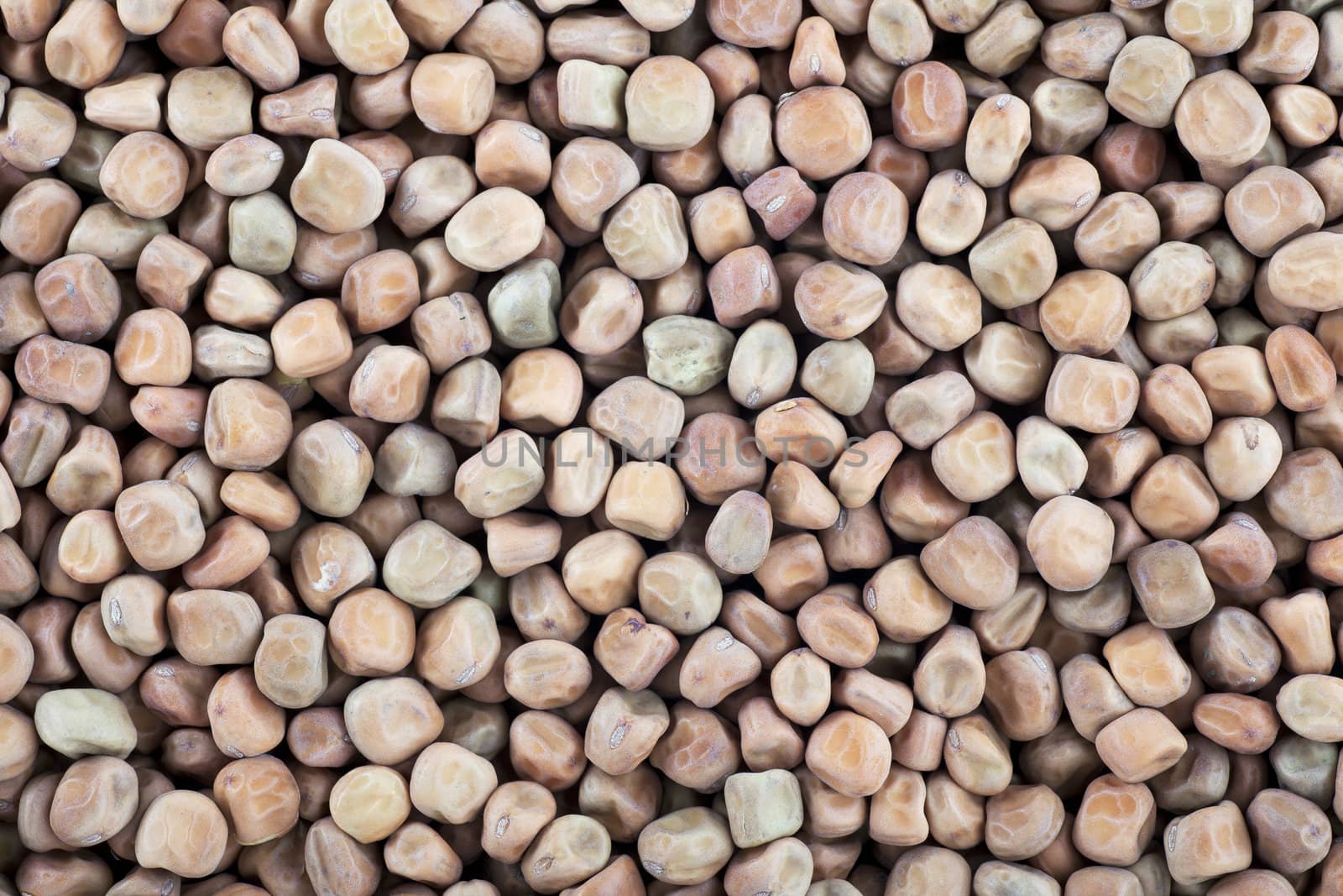 Dried marrowfat beans full frame for food background or texture.