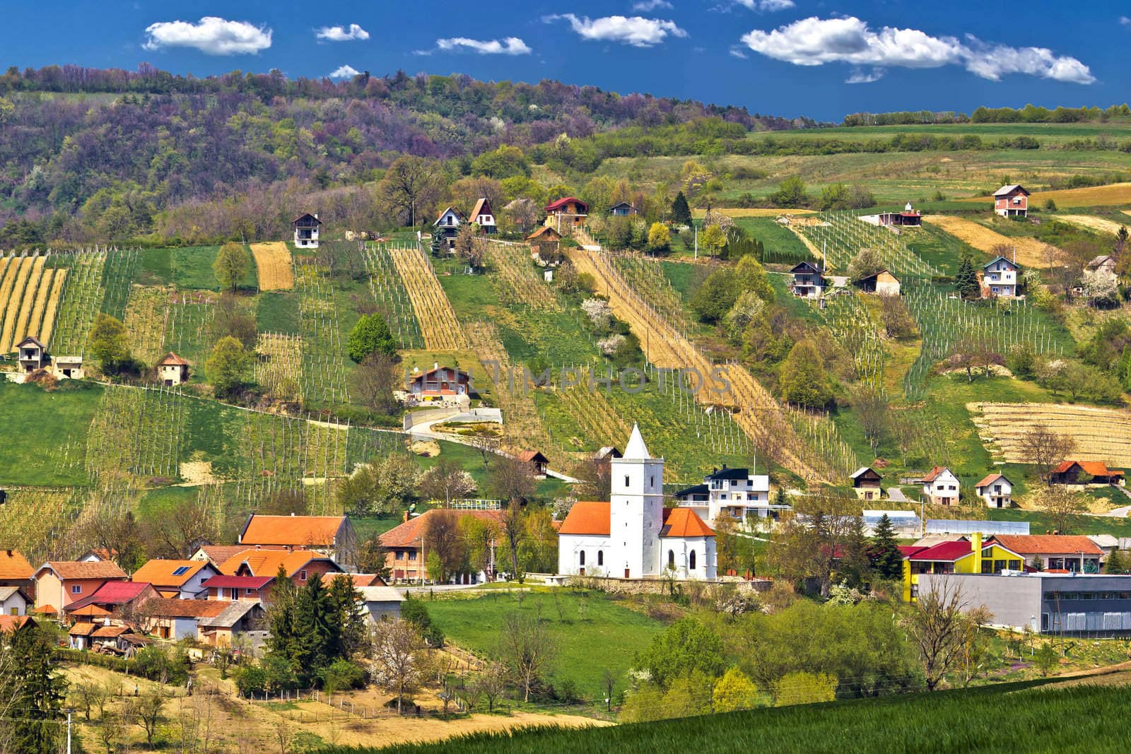 Idyllic nature of Prigorje region, village Visoko on Kalnik mountain hill, with traditional winemaking cottages