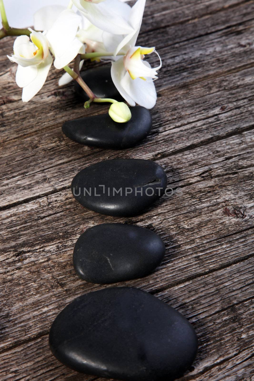 Spa arrangement with therapeutic zen stones and white flowers