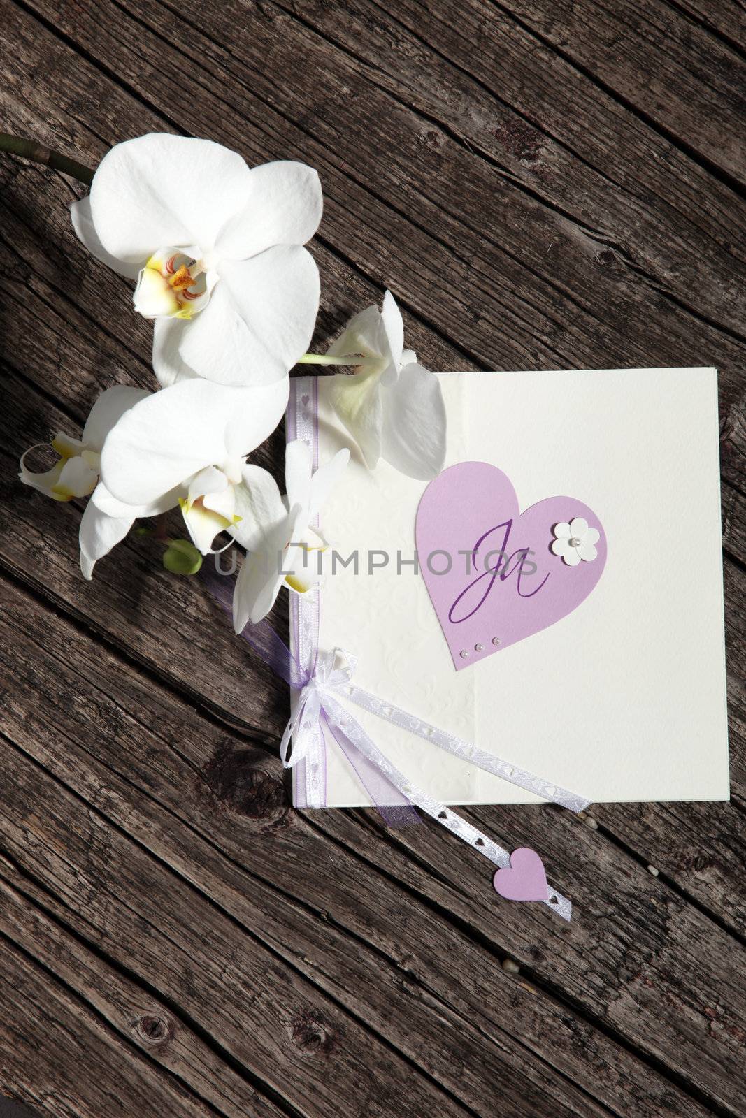 Pretty Valentine card with heart and flowers by Farina6000
